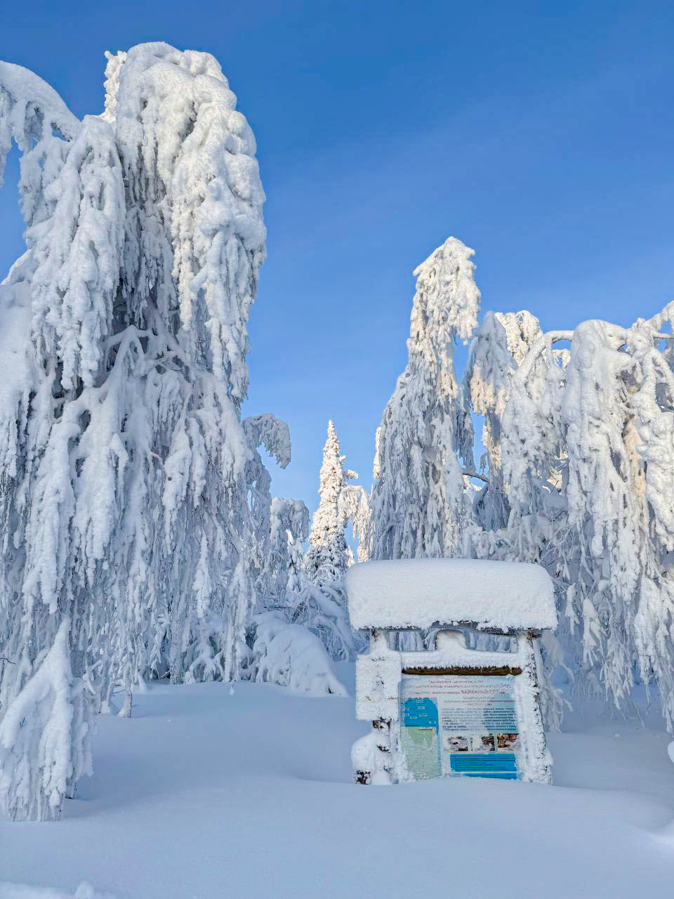 Снегоходный тур к Усьвинским столбам и Каменному городу (13/14)
