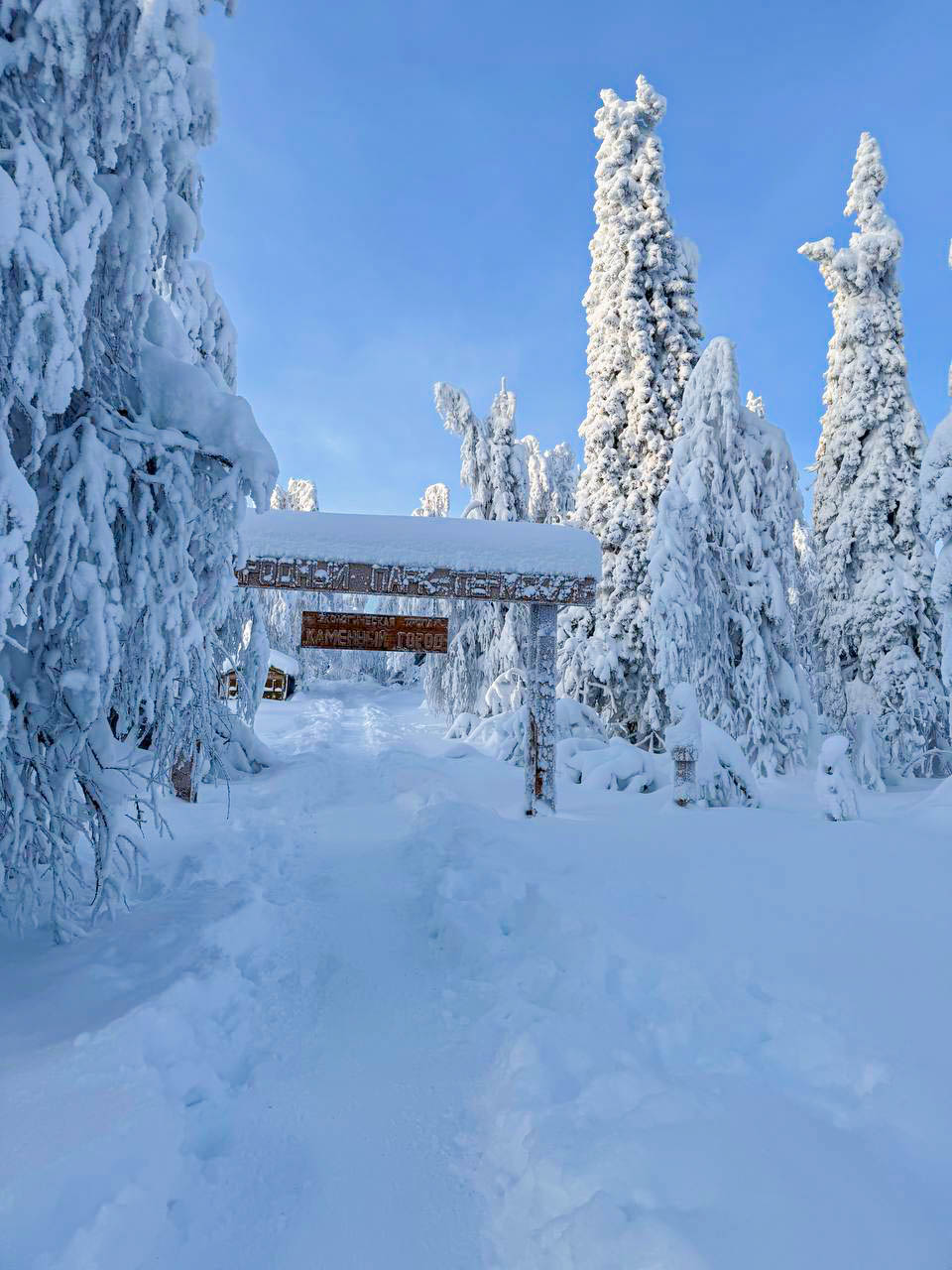 Снегоходный тур к Усьвинским столбам и Каменному городу (9/14)
