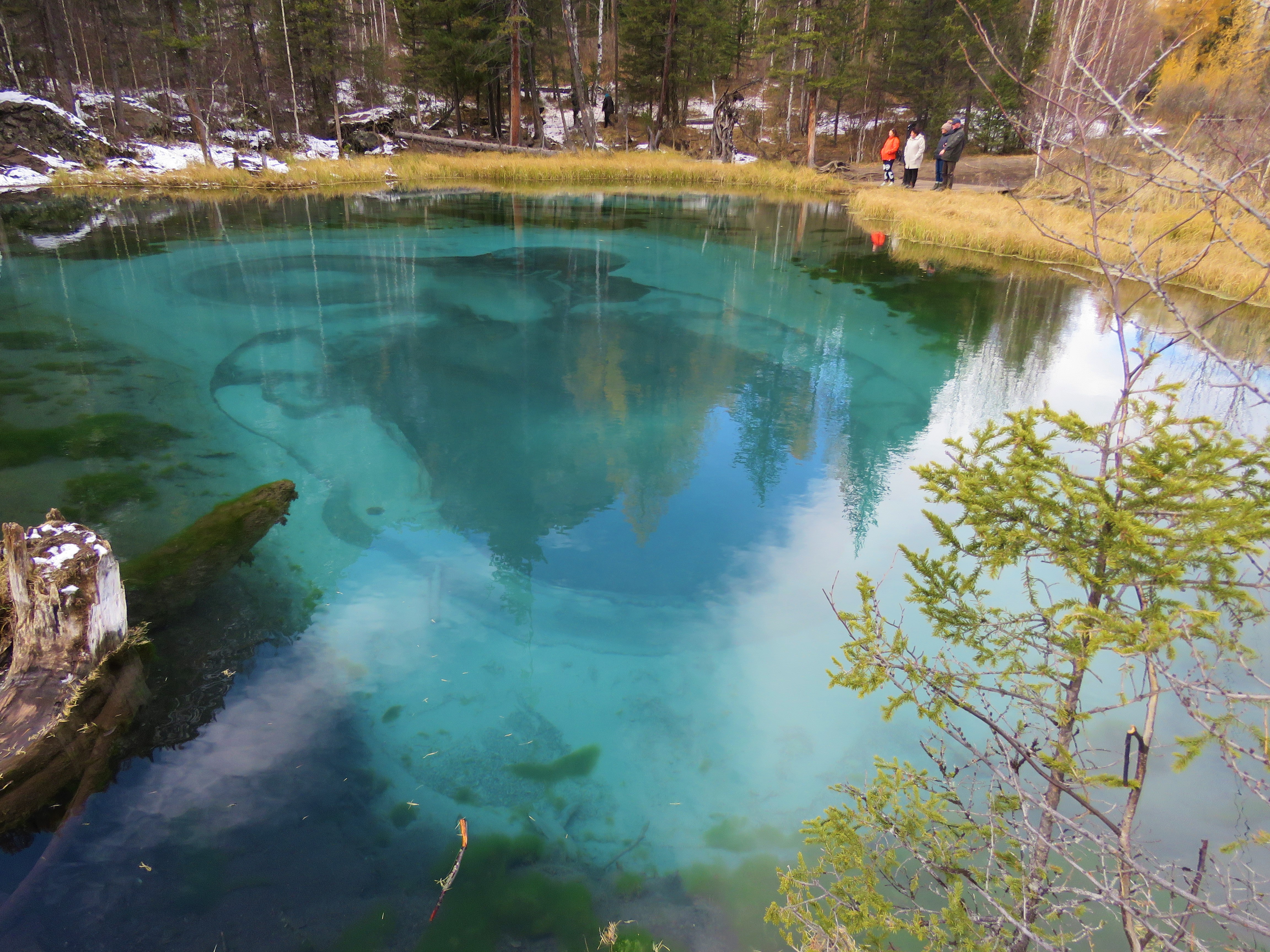 Волшебные краски Алтая шикарный тур! (3/15)