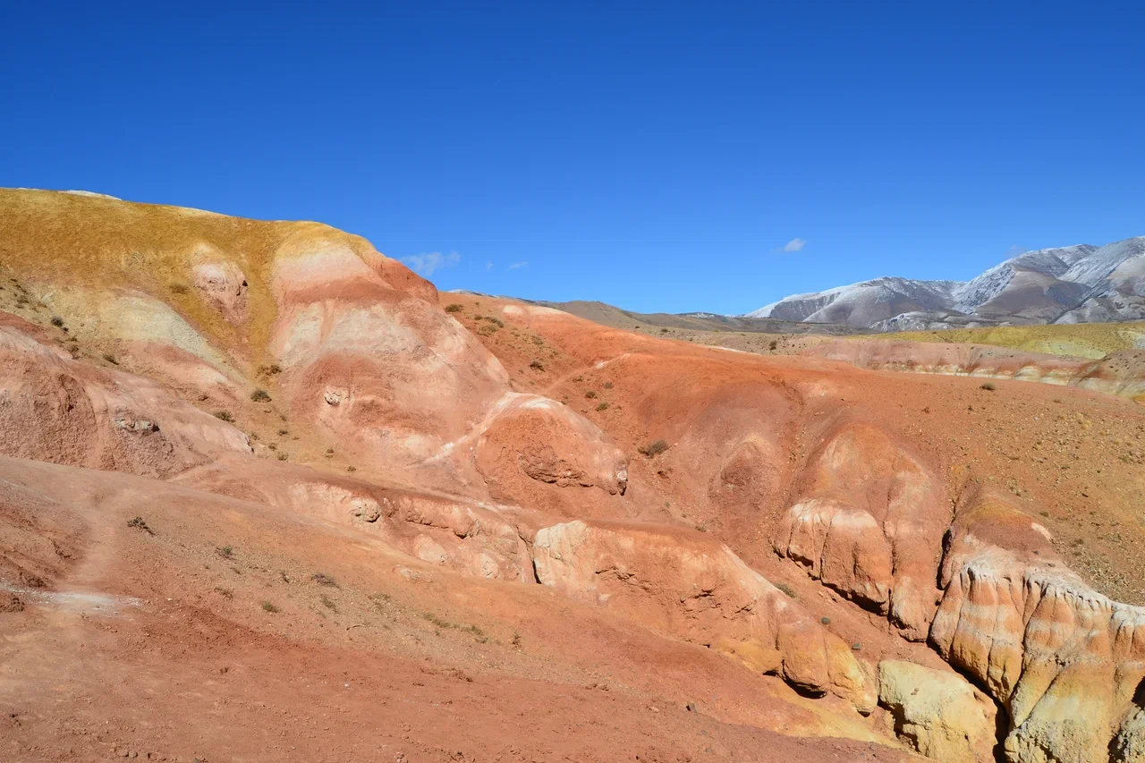 Экспедиция на Марс (14/17)