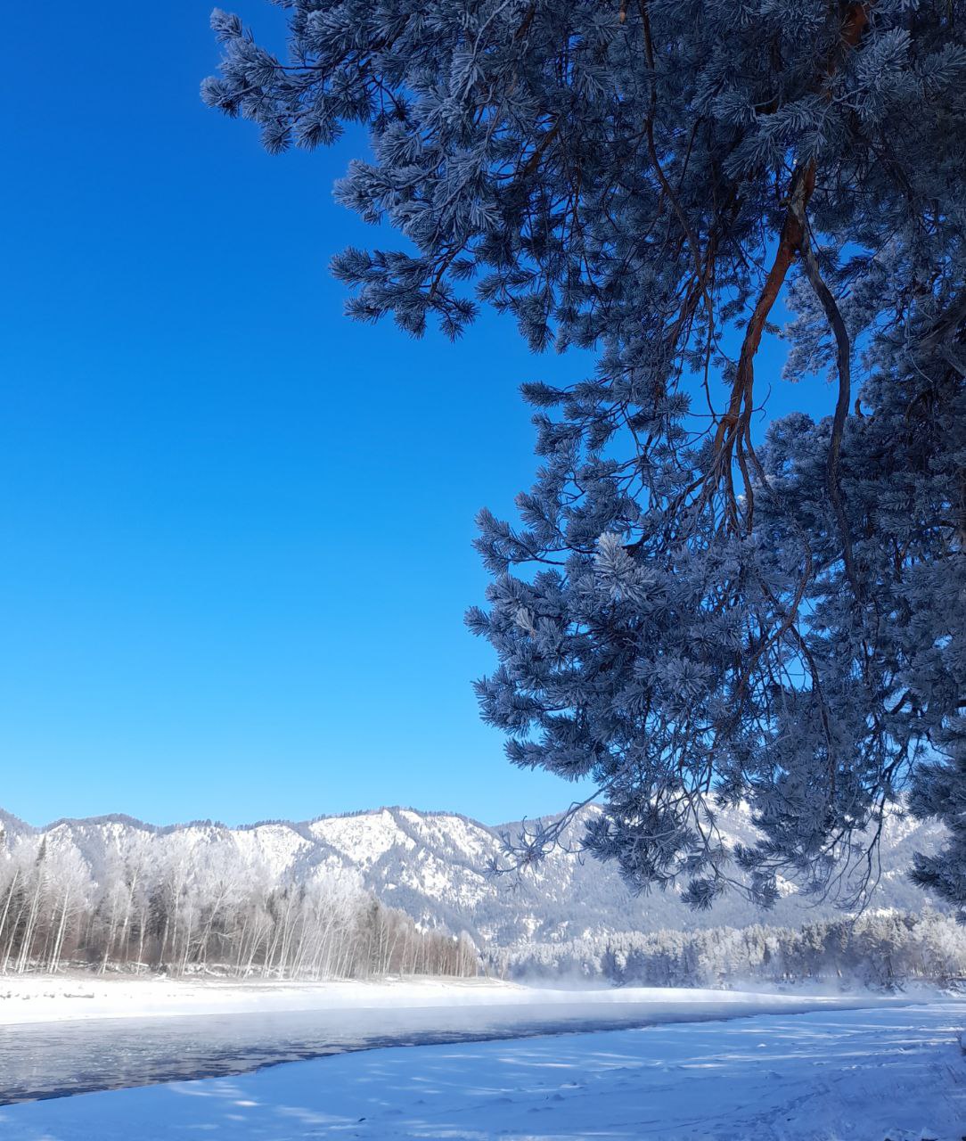 Зимняя сказка Чемальского района (5/7)