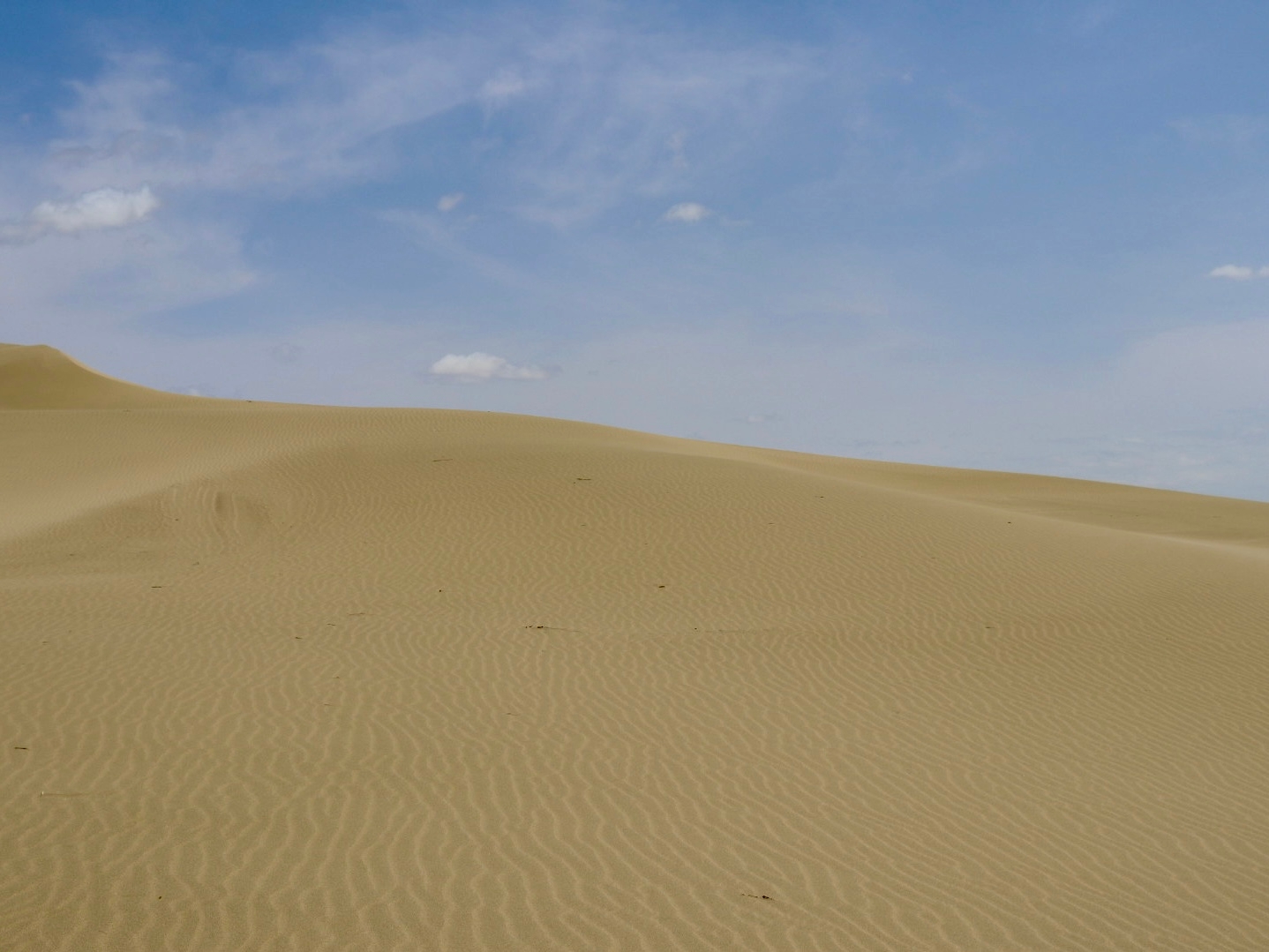 Монголия: С Гор В Пустыню. (3/25)