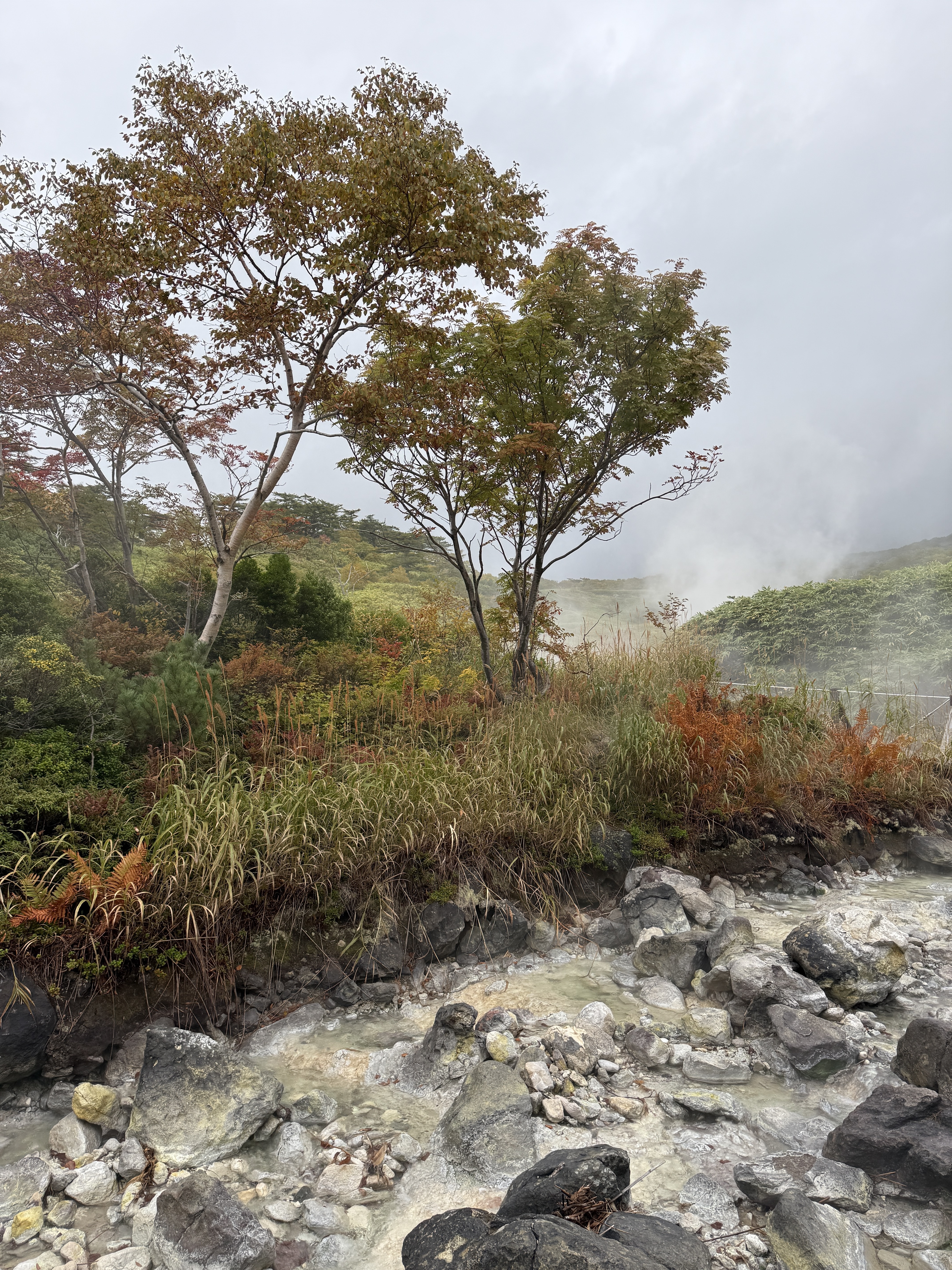 Осенний Итуруп + Сахалин (2/51)