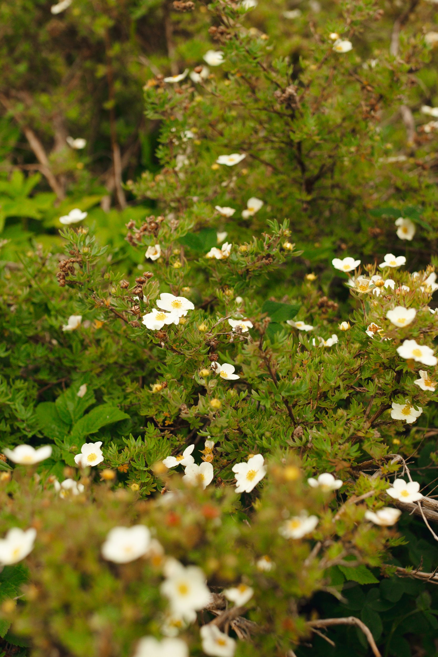 Соловки для гостей из Санкт-Петербурга (24/25)