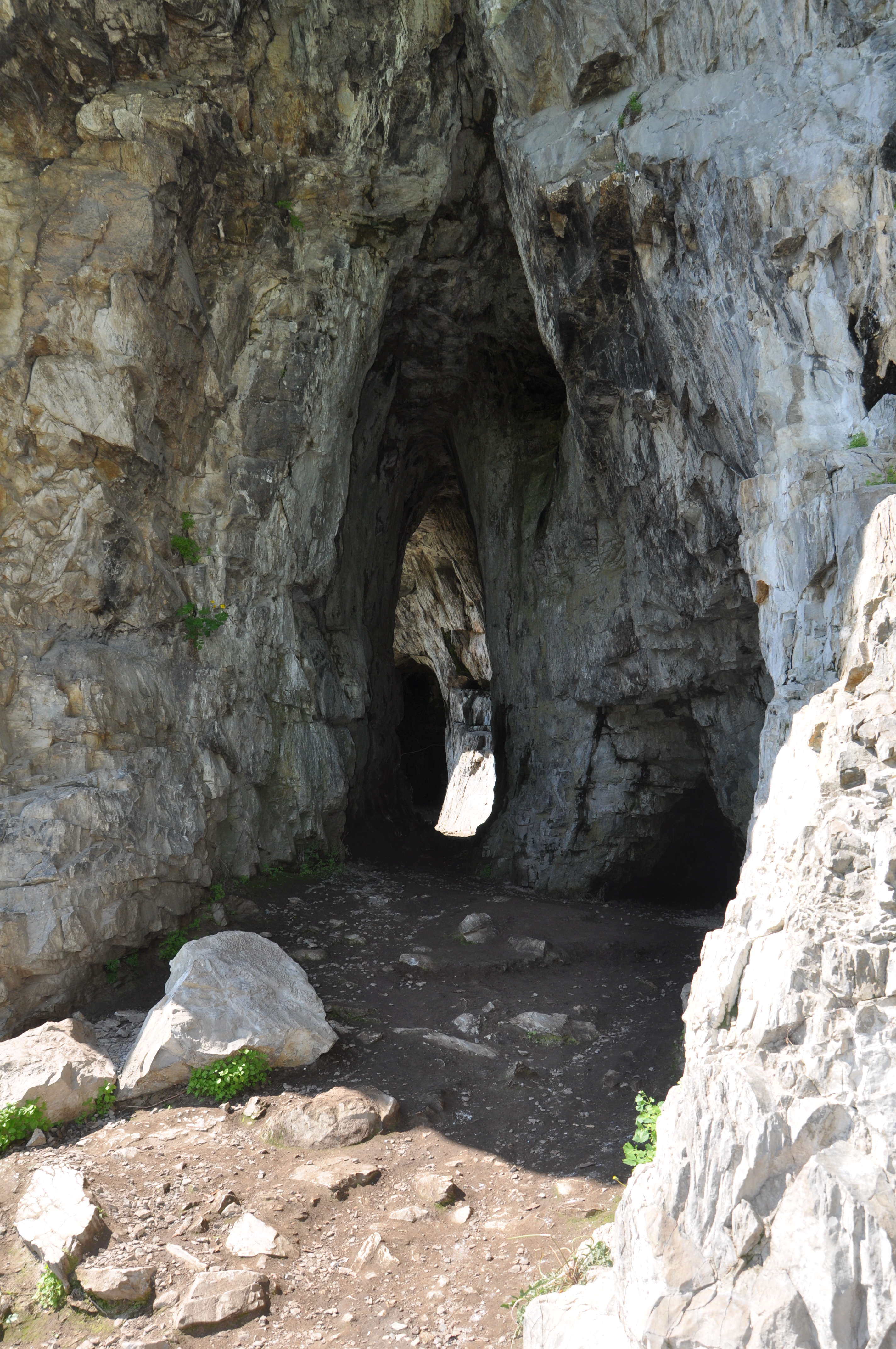 Тур Знакомство с Алтаем + Марсианские горы. Чуйский тракт (9/9)