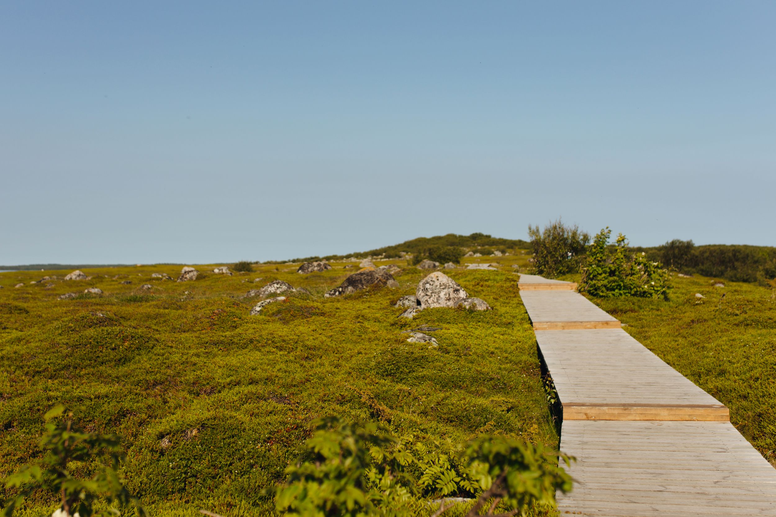 Соловки для гостей из Санкт-Петербурга (13/25)