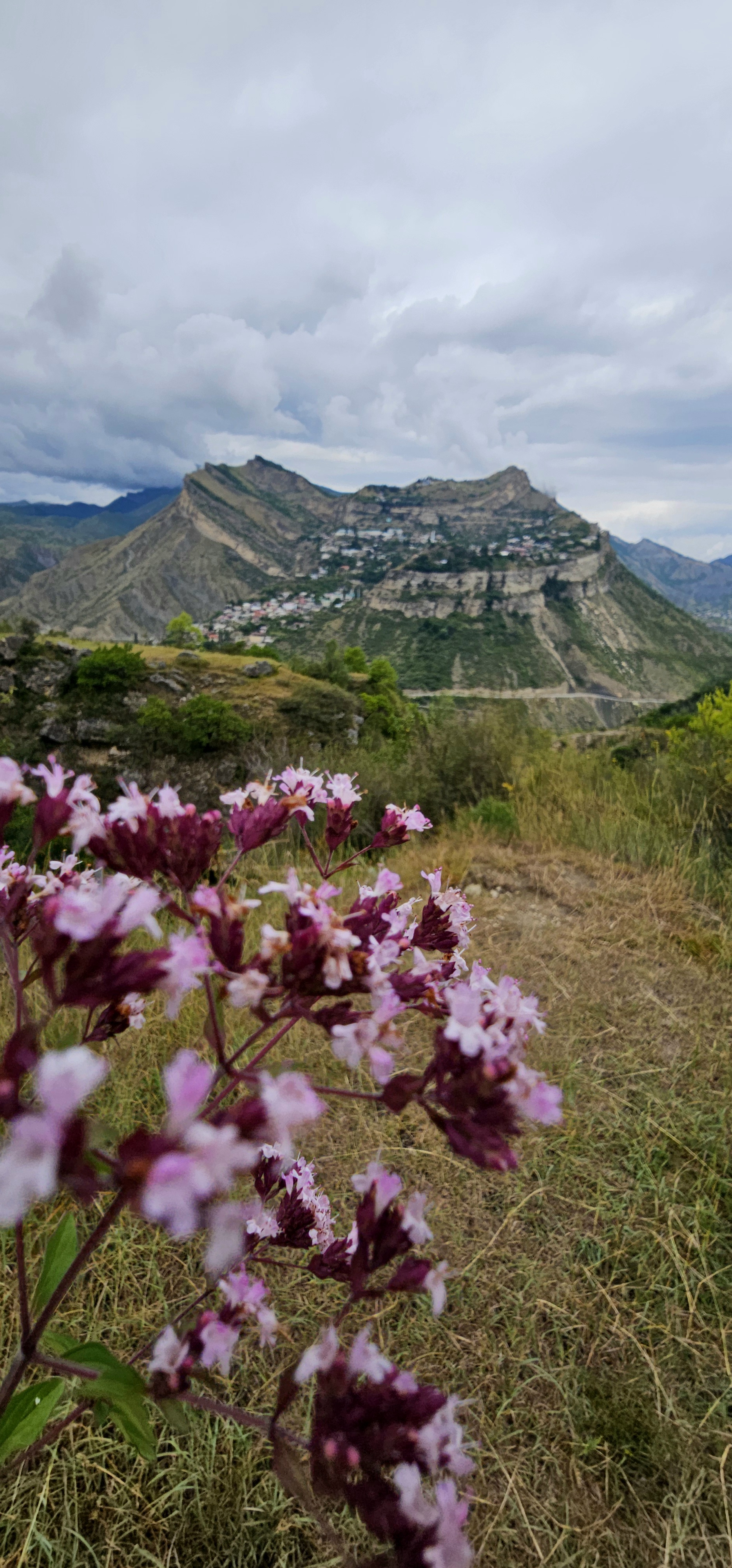 5 дней - Весеннее пламя Дагестана (19/52)