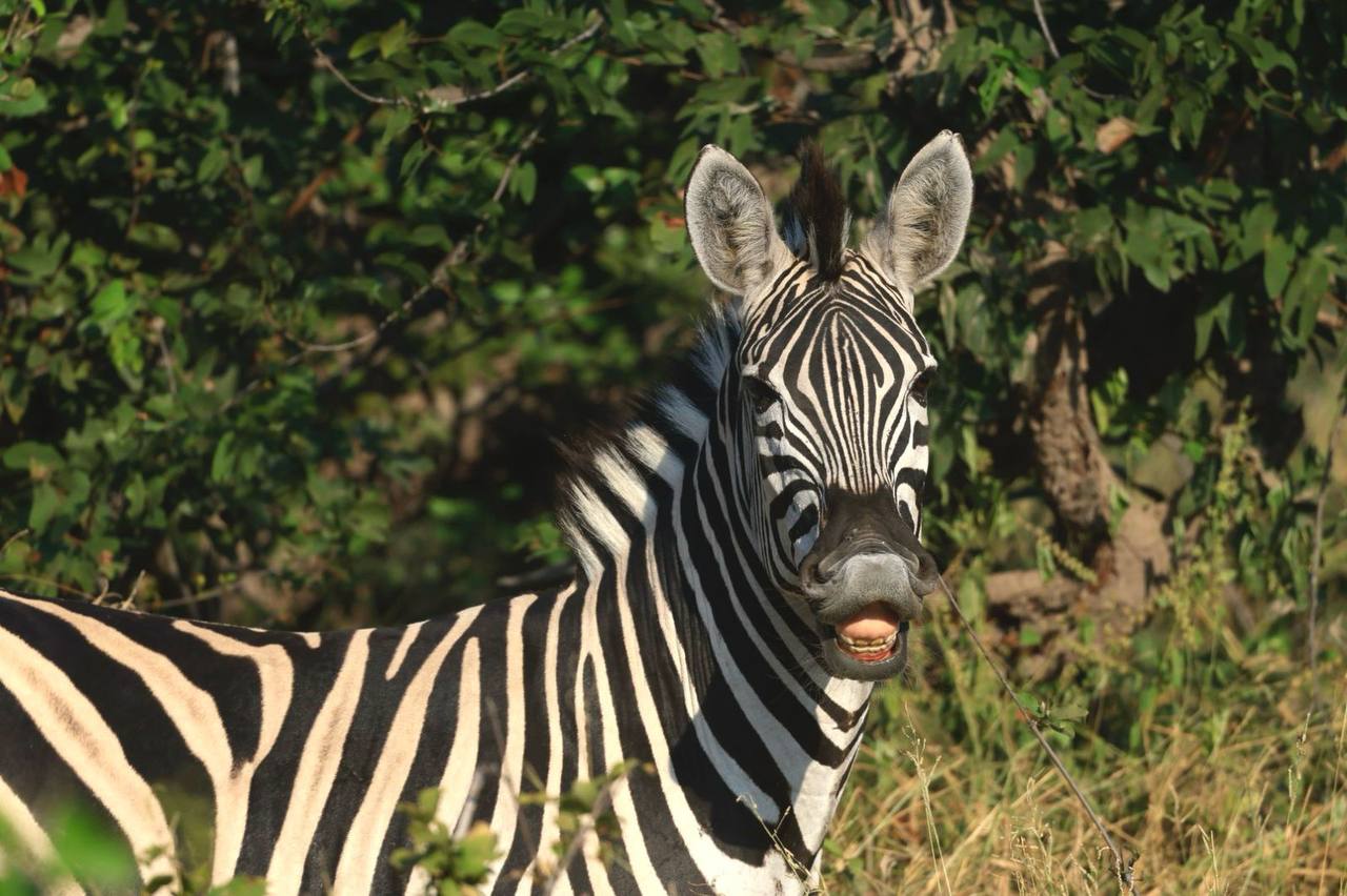 Юар. Тотальная перезагрузка. 11 дней гедонизма и Wow-эмоций. (15/64)