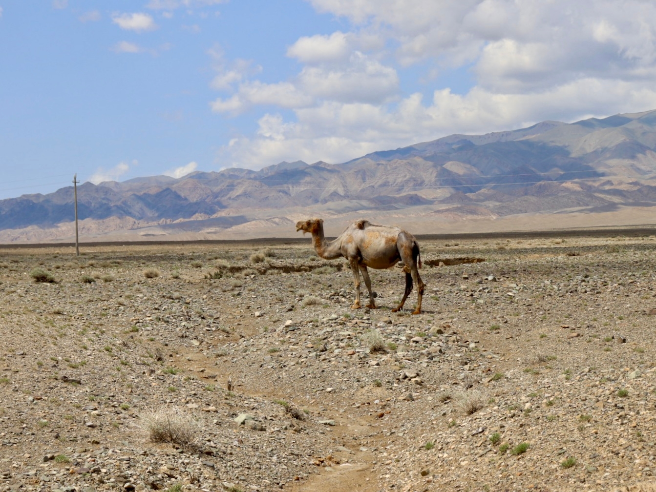 Монголия: С Гор В Пустыню. (4/25)