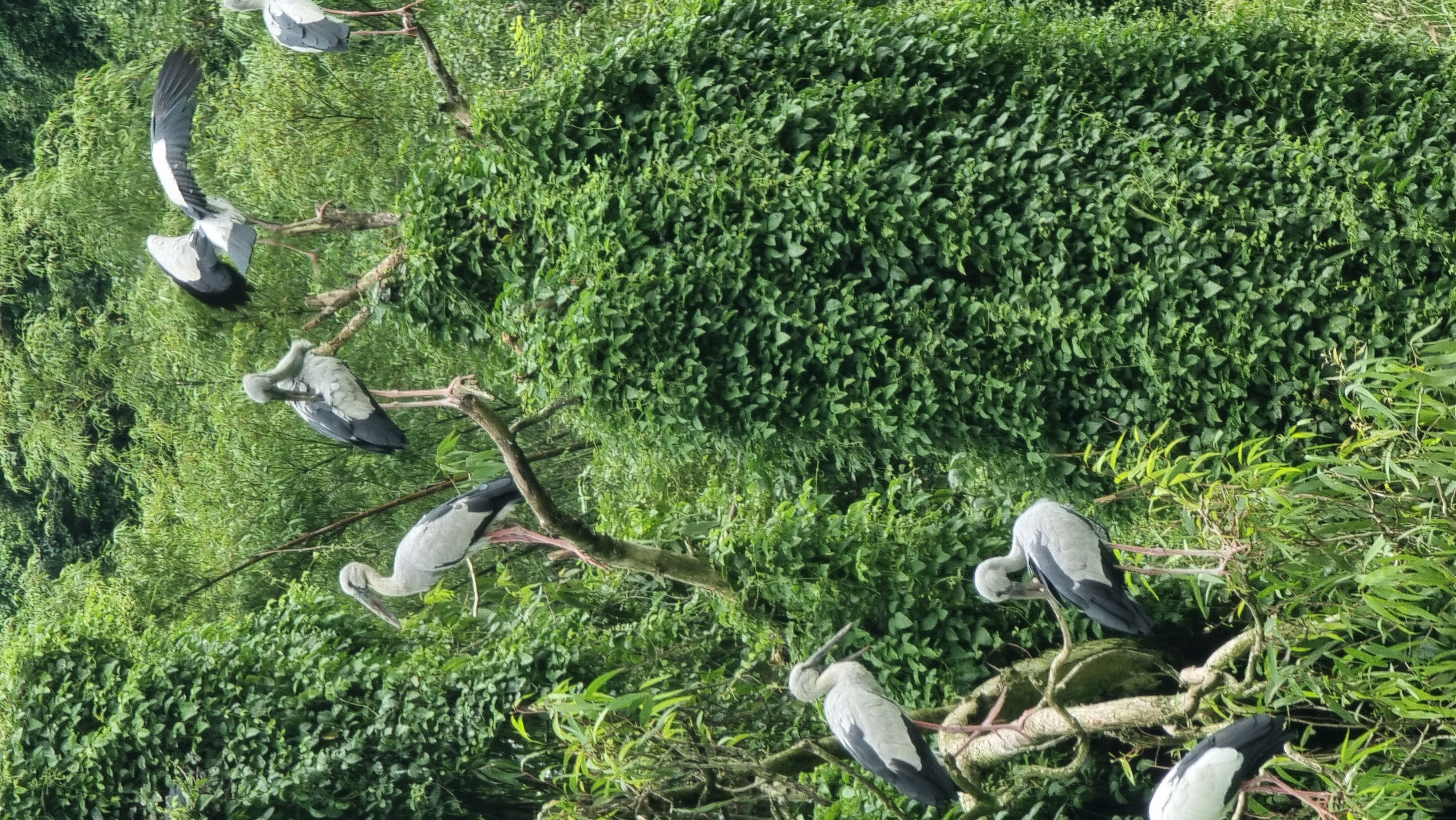 Северный Вьетнам. Путешествие по самобытной стране (33/91)