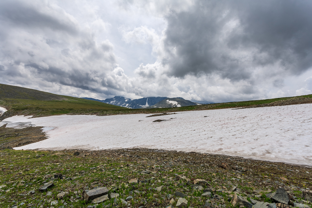 Дыхание Алтая (2/16)