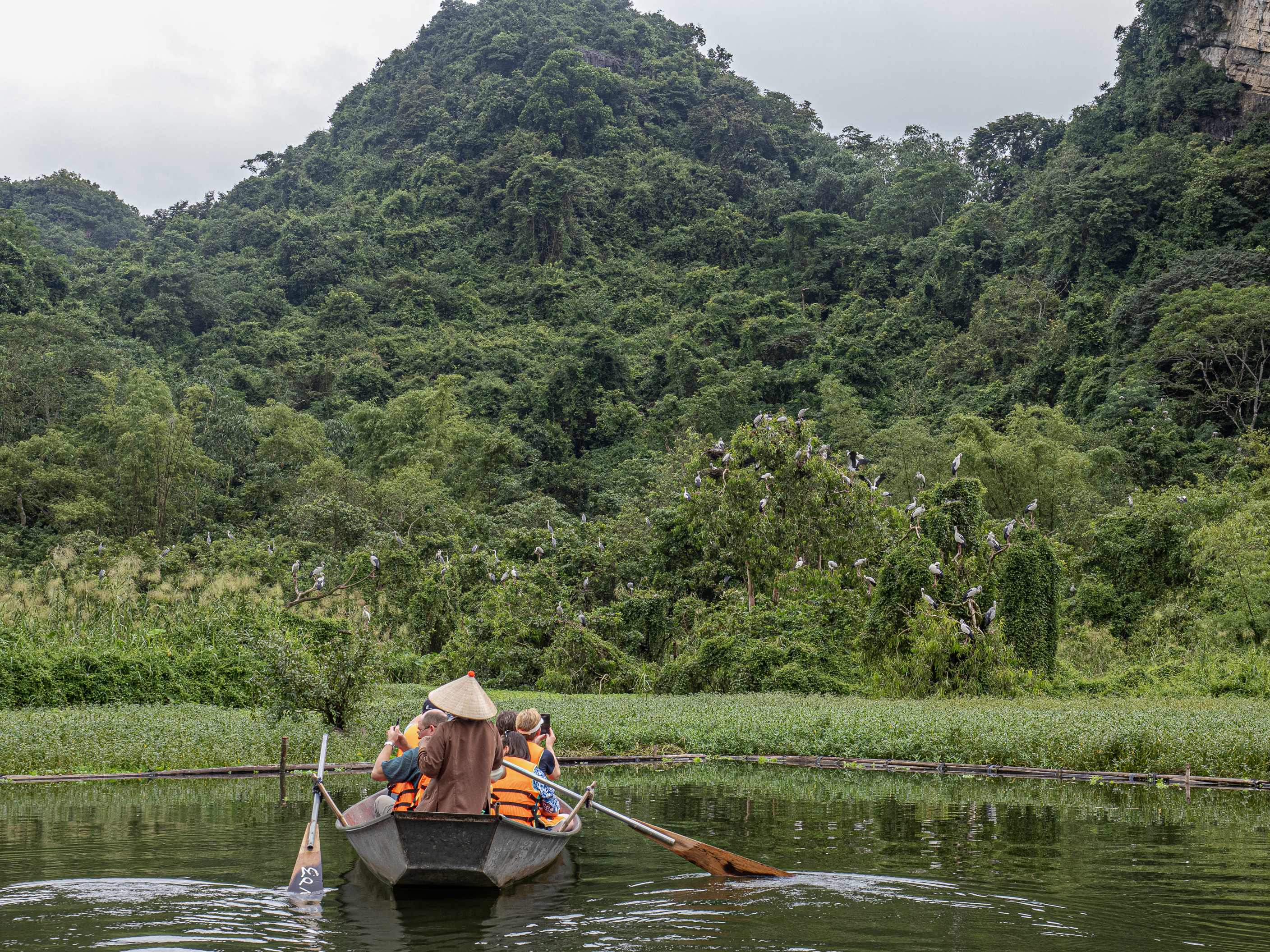 Вояж по Северному Вьетнаму (36/73)