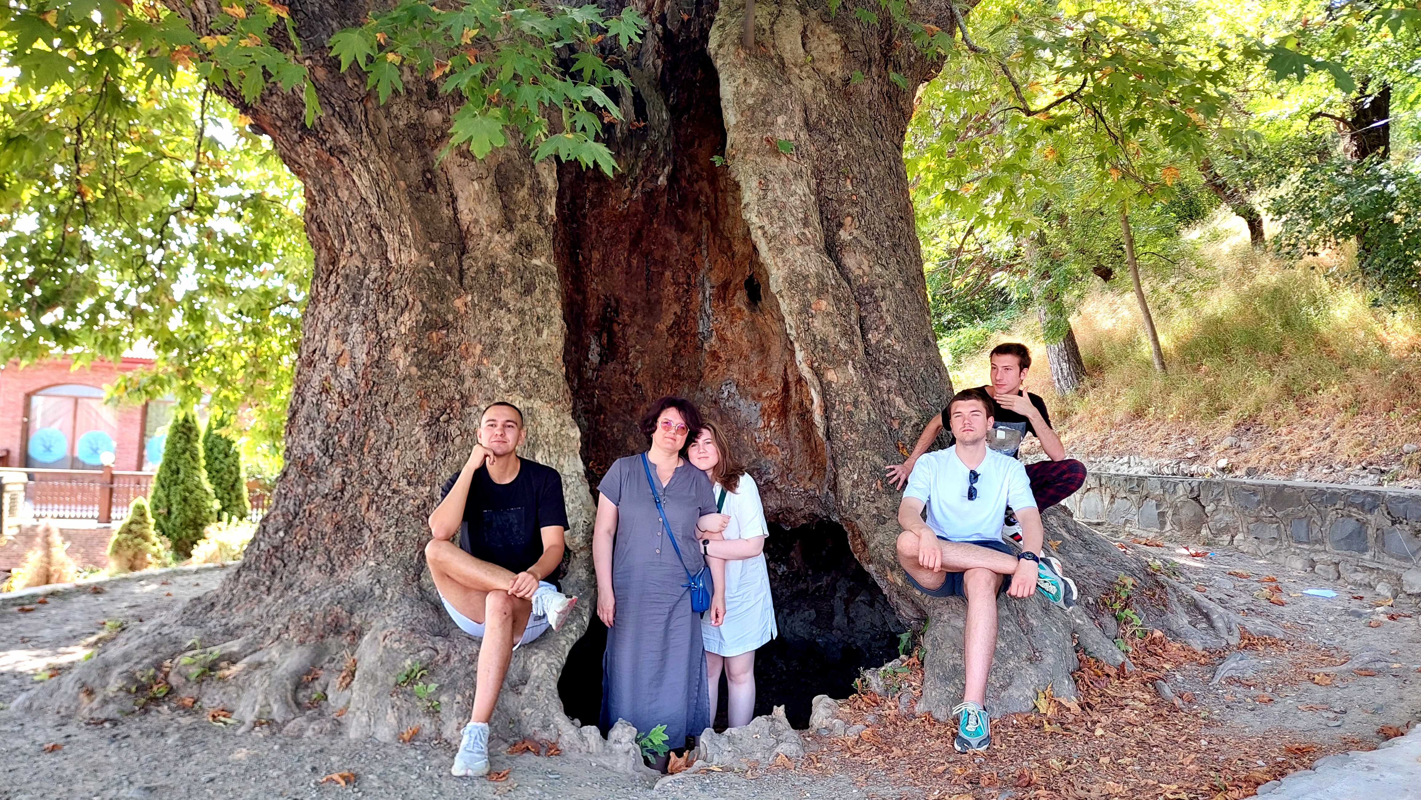 Индивидуальный тур ,, Кахетия-душа Грузии (11/14)