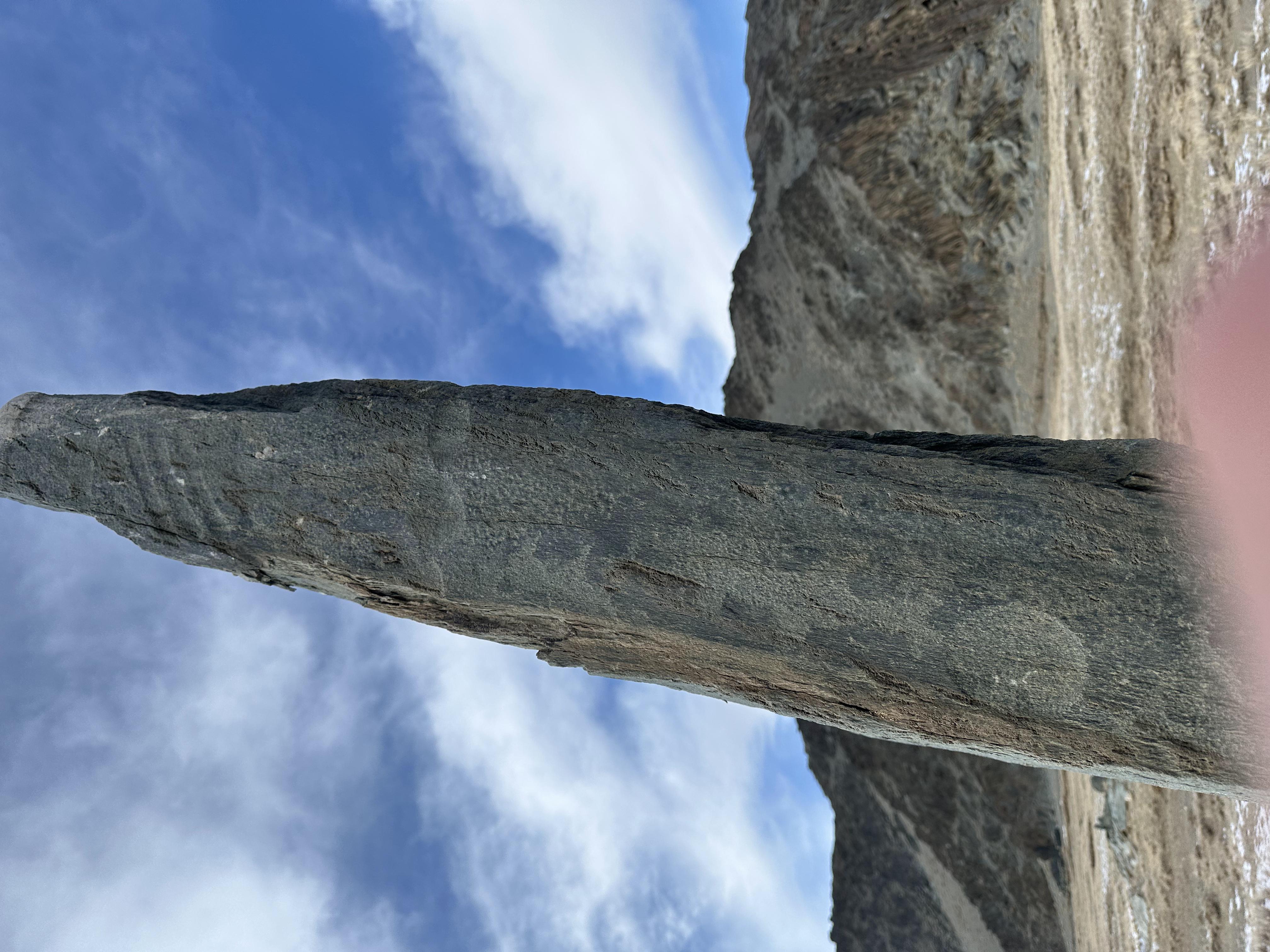 Знакомство с Алтаем Белокуриха +Телецкое озеро +Марсианские горы (6/11)