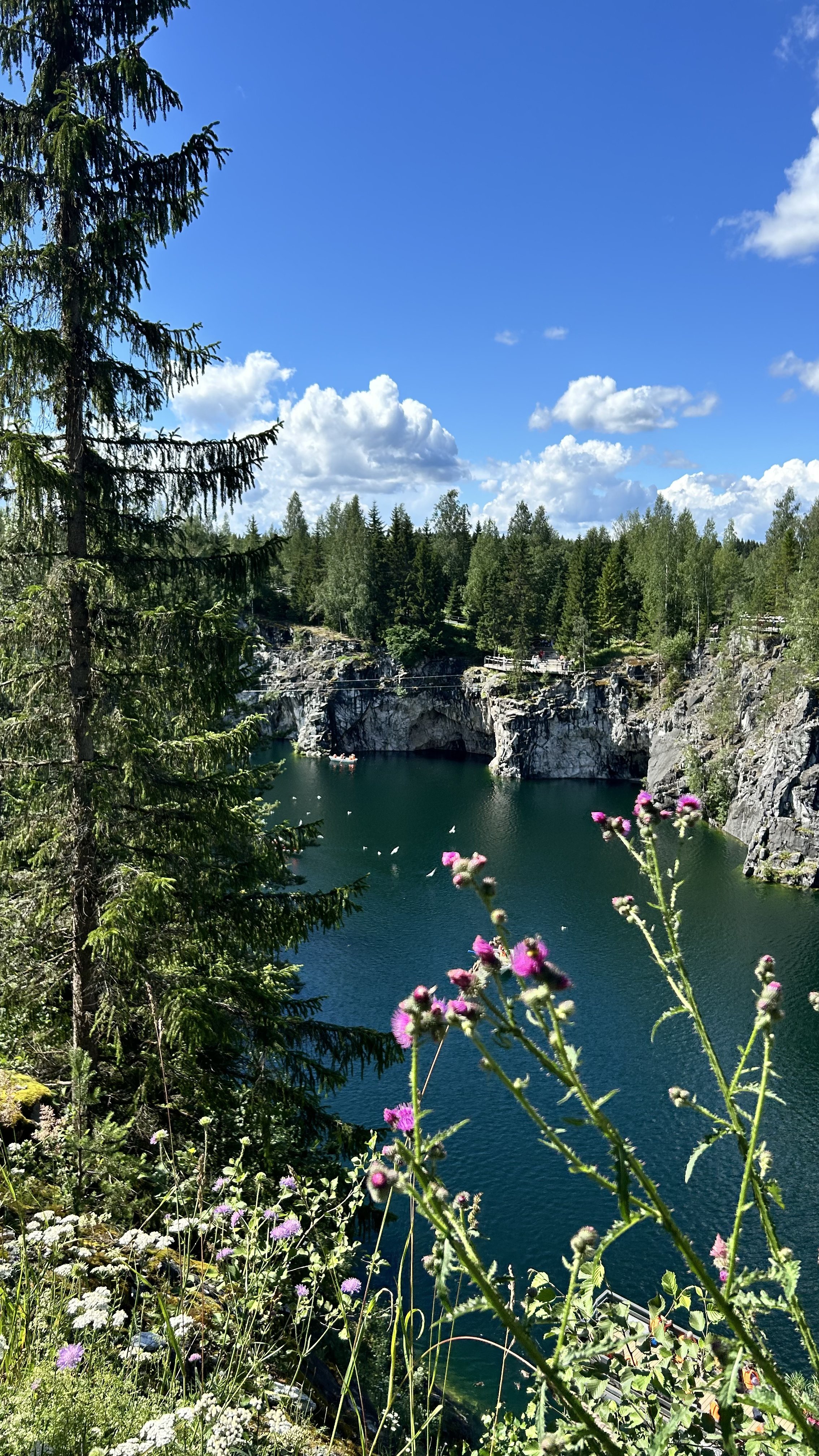 Уникальная Карелия: заповедные места , уютный глэмпинг и активности. Мини группа (28/45)