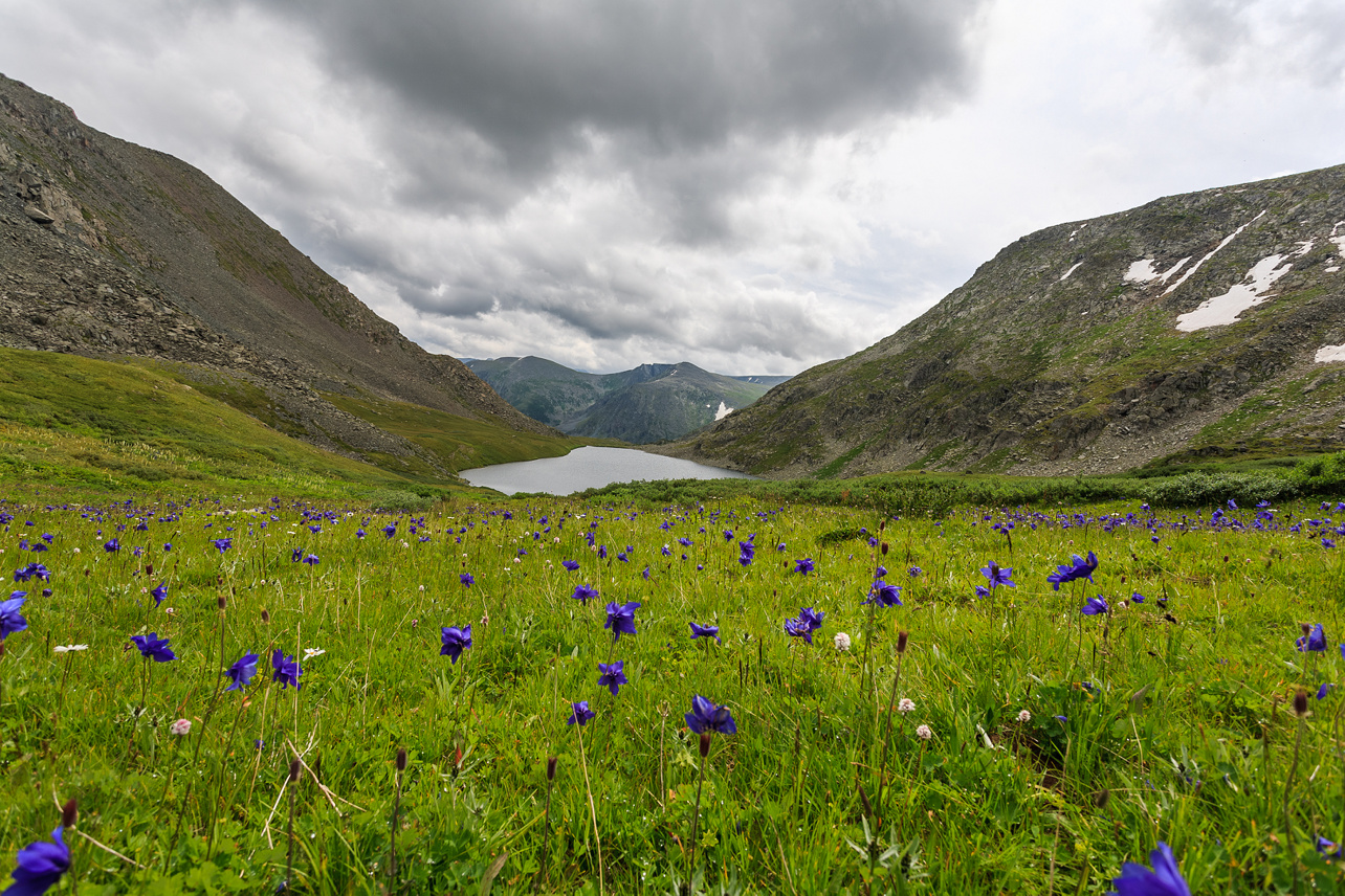 Дыхание Алтая