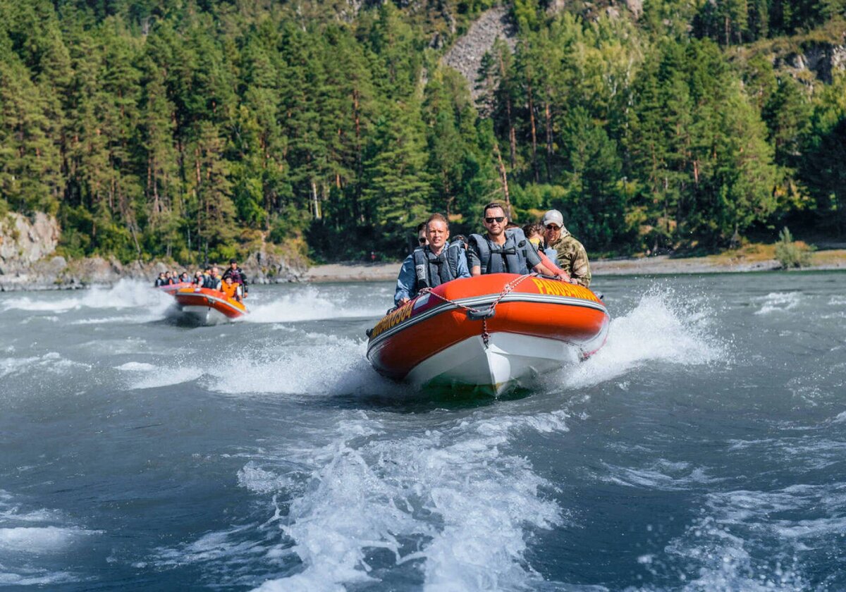 Цветение Маральника на Алтае - 2026 (18/18)