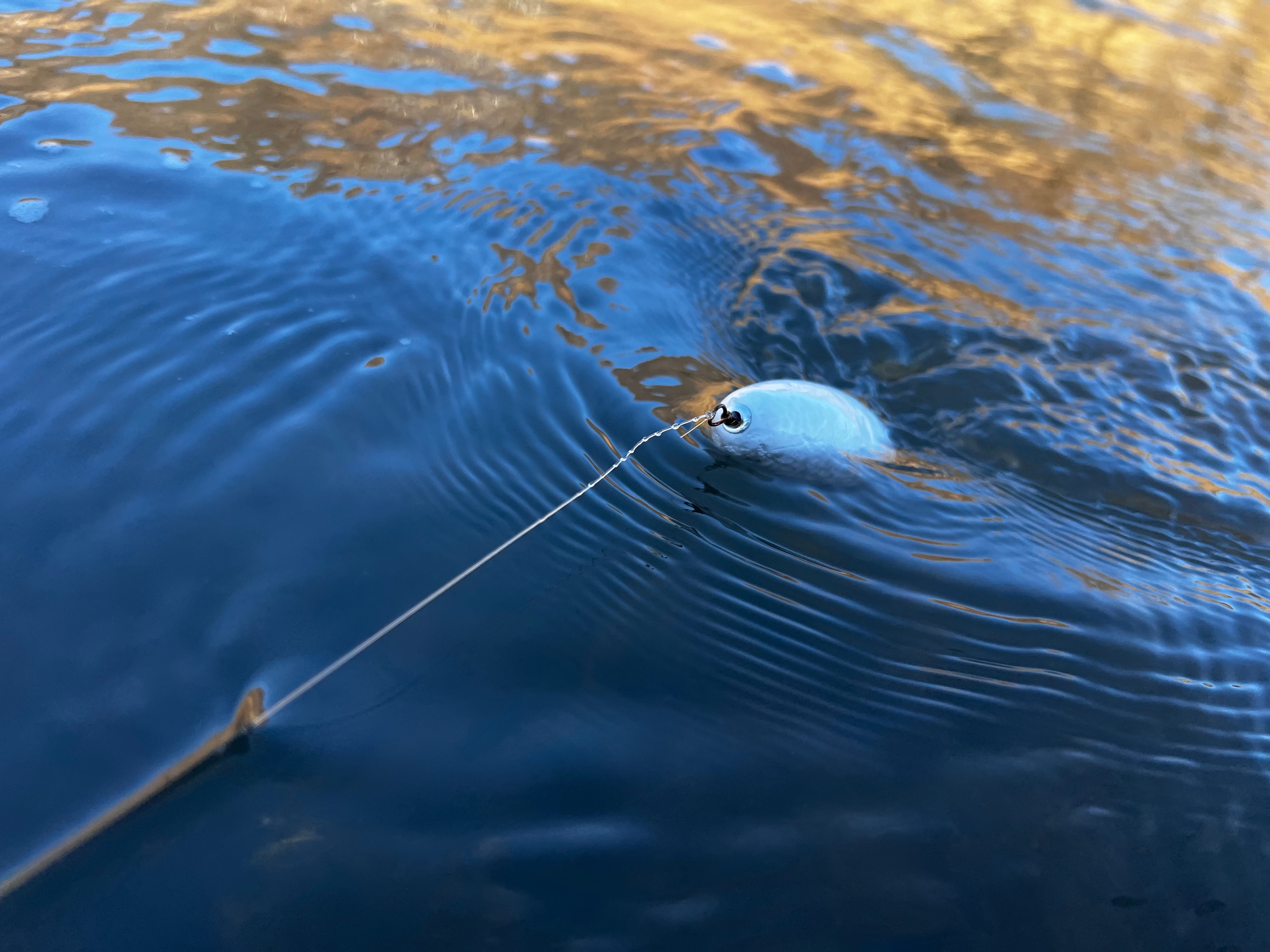 Монголия: Рыбалка На Краю Географии. (5/22)