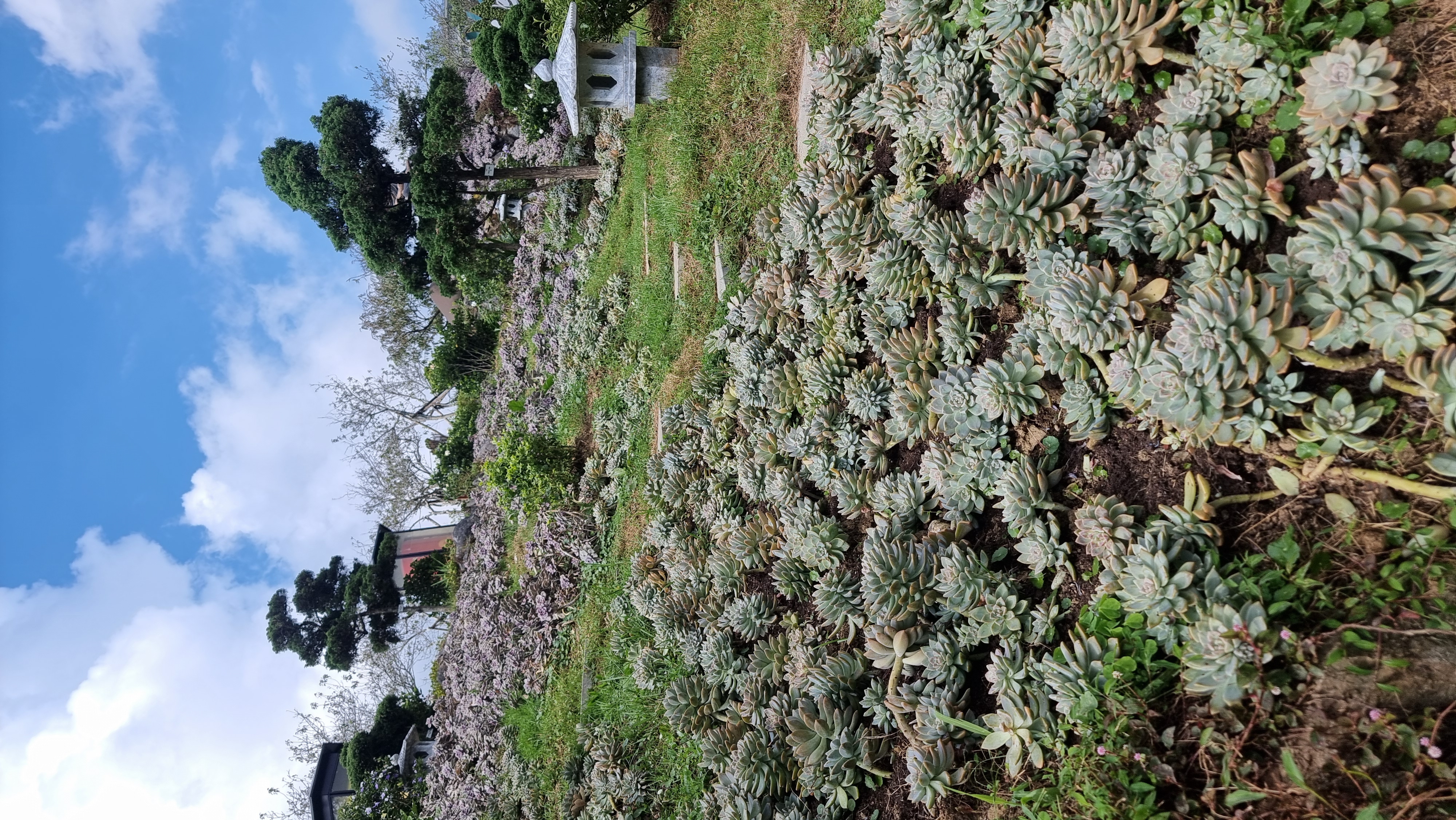 Северный Вьетнам. Путешествие по самобытной стране (27/91)