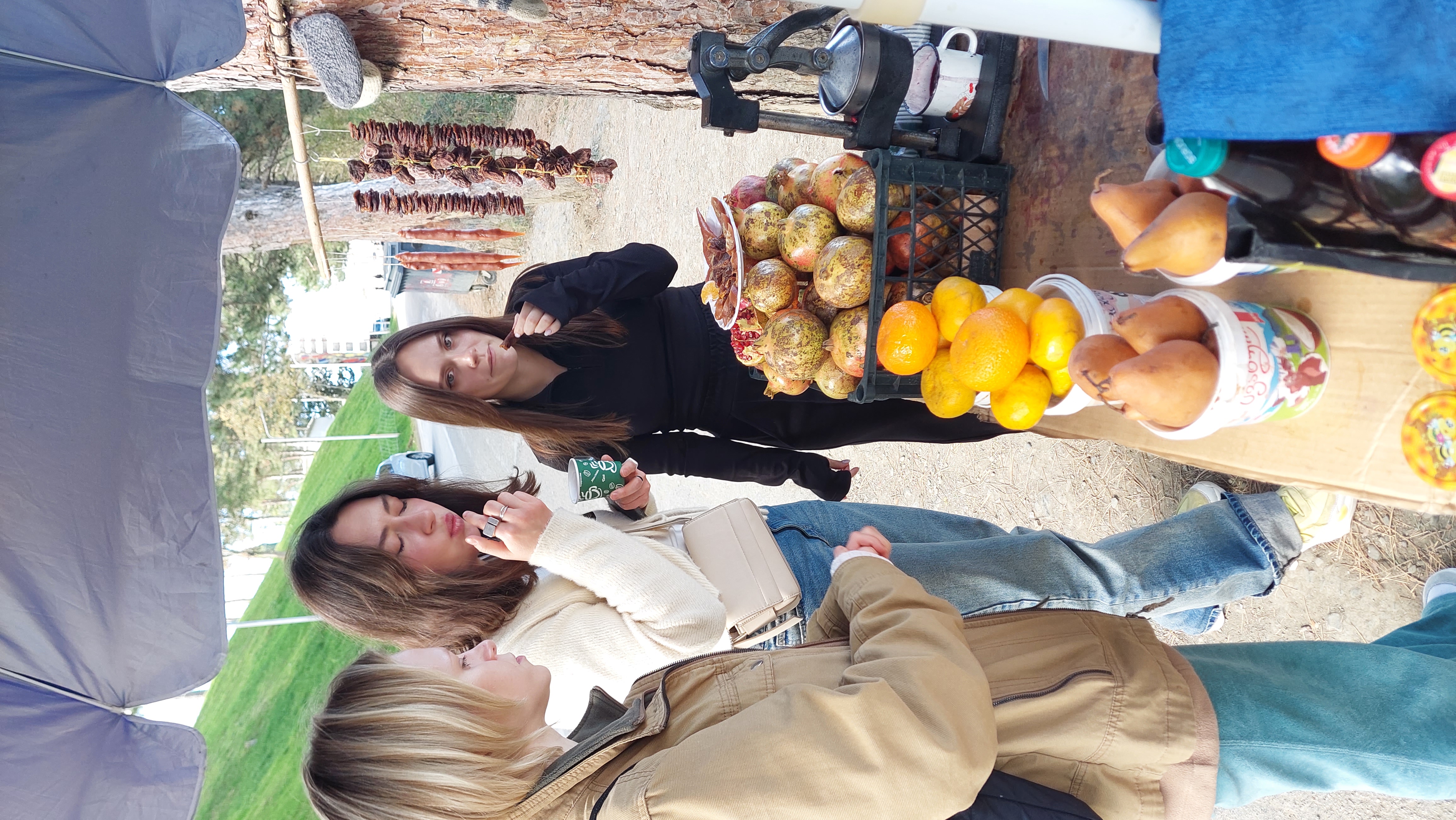 Индивидуальный тур ,, Кахетия-душа Грузии (13/14)