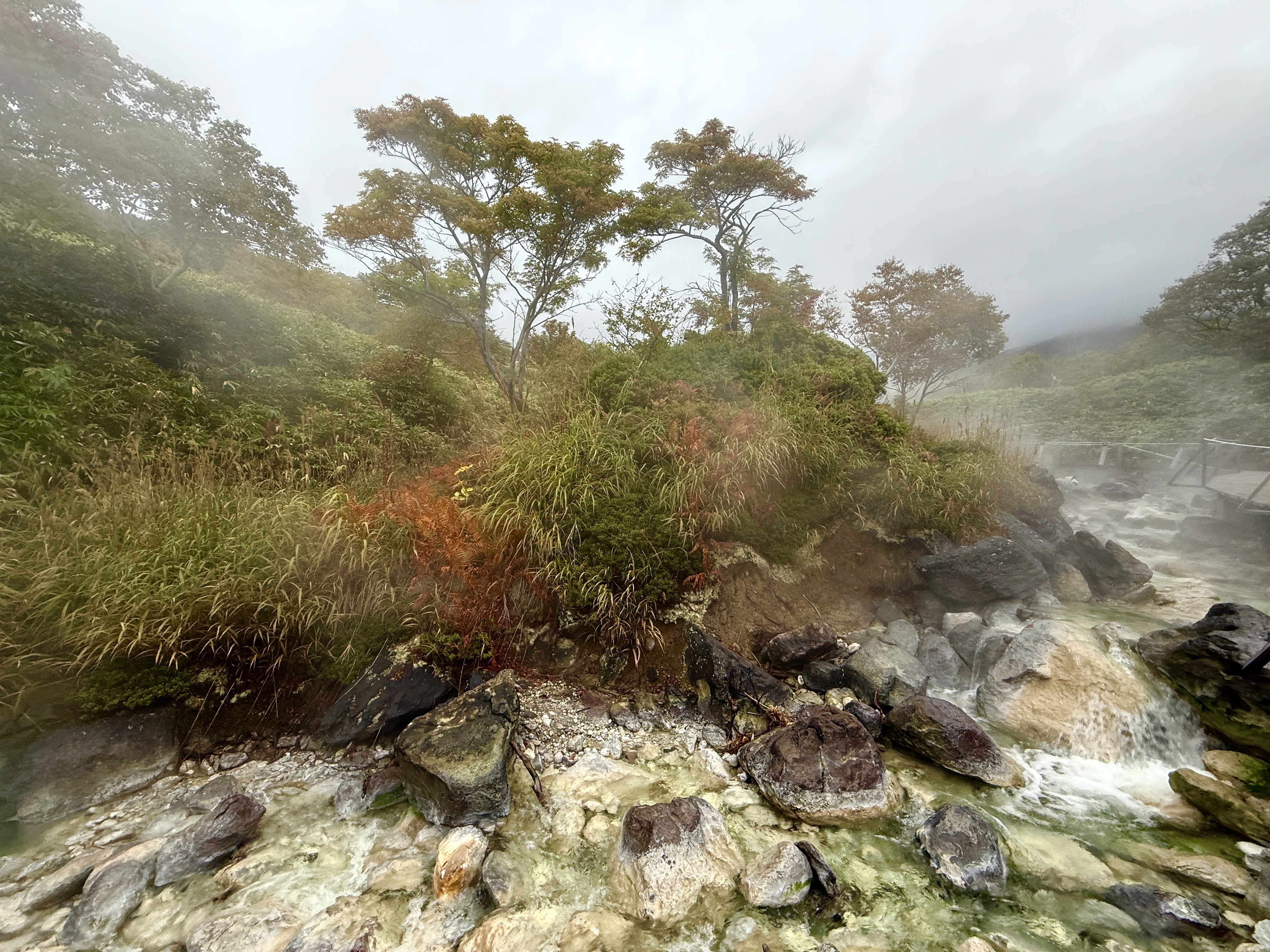 Осенний Итуруп + Сахалин (14/51)