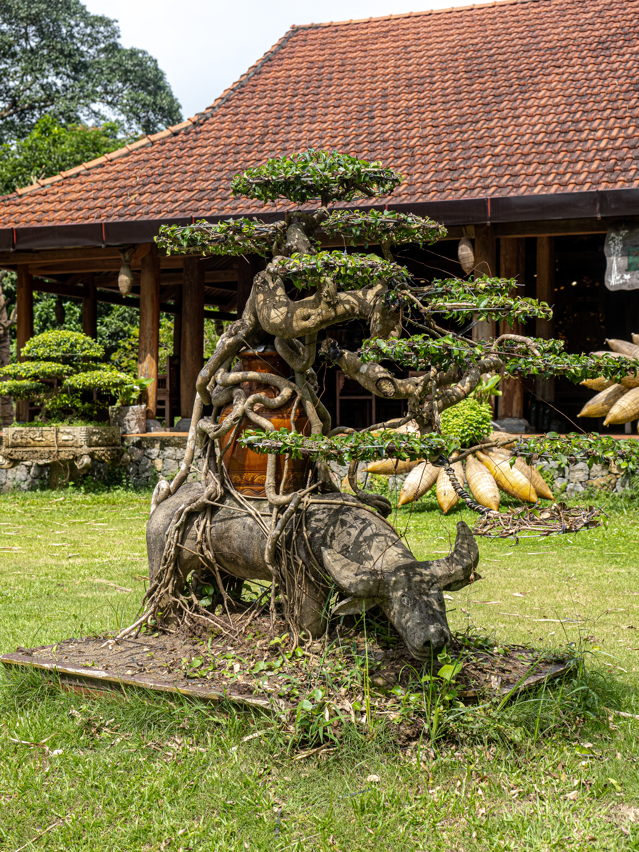 Северный Вьетнам. Путешествие по самобытной стране (47/91)