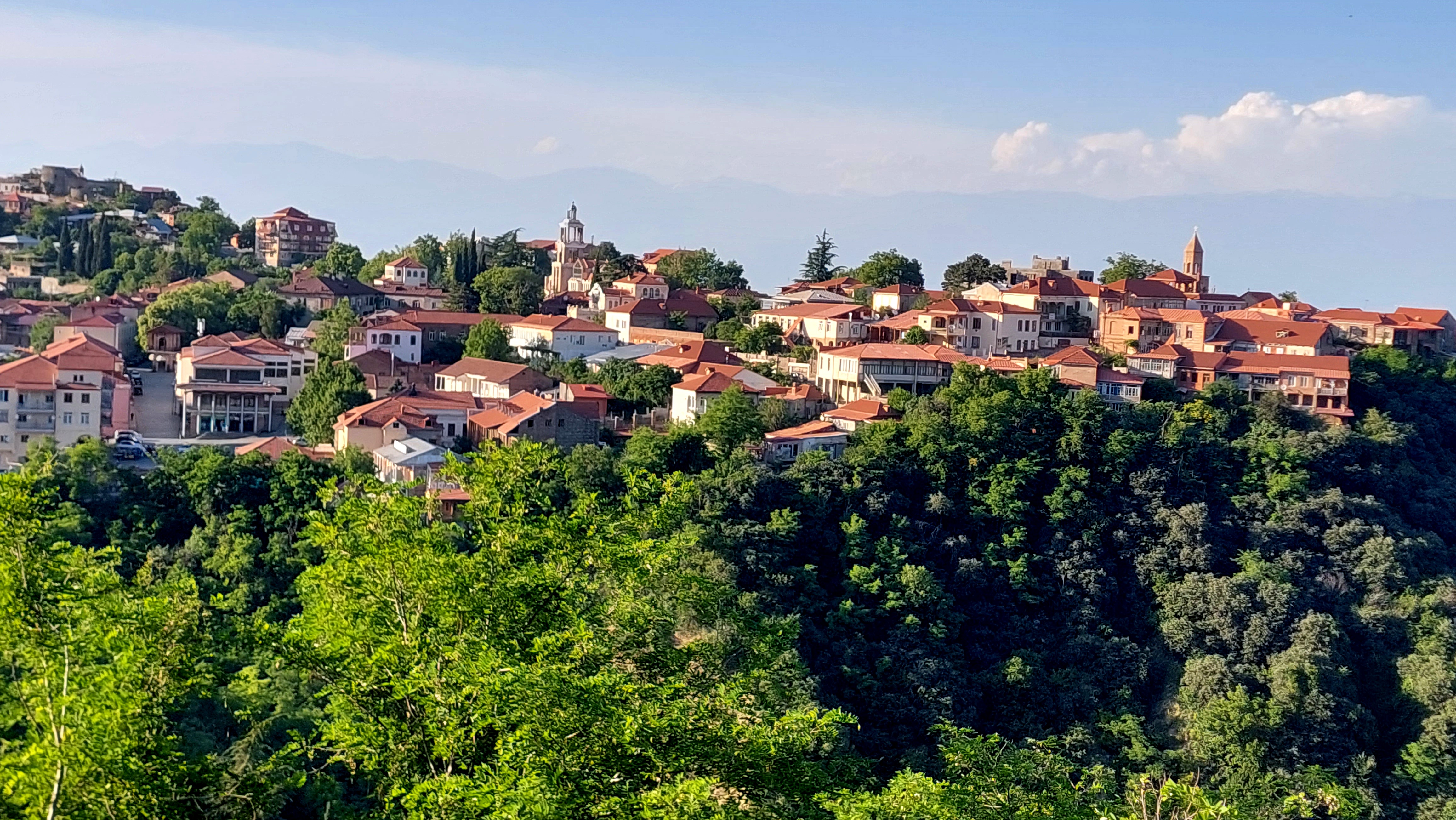 Индивидуальный тур ,, Кахетия-душа Грузии (2/14)