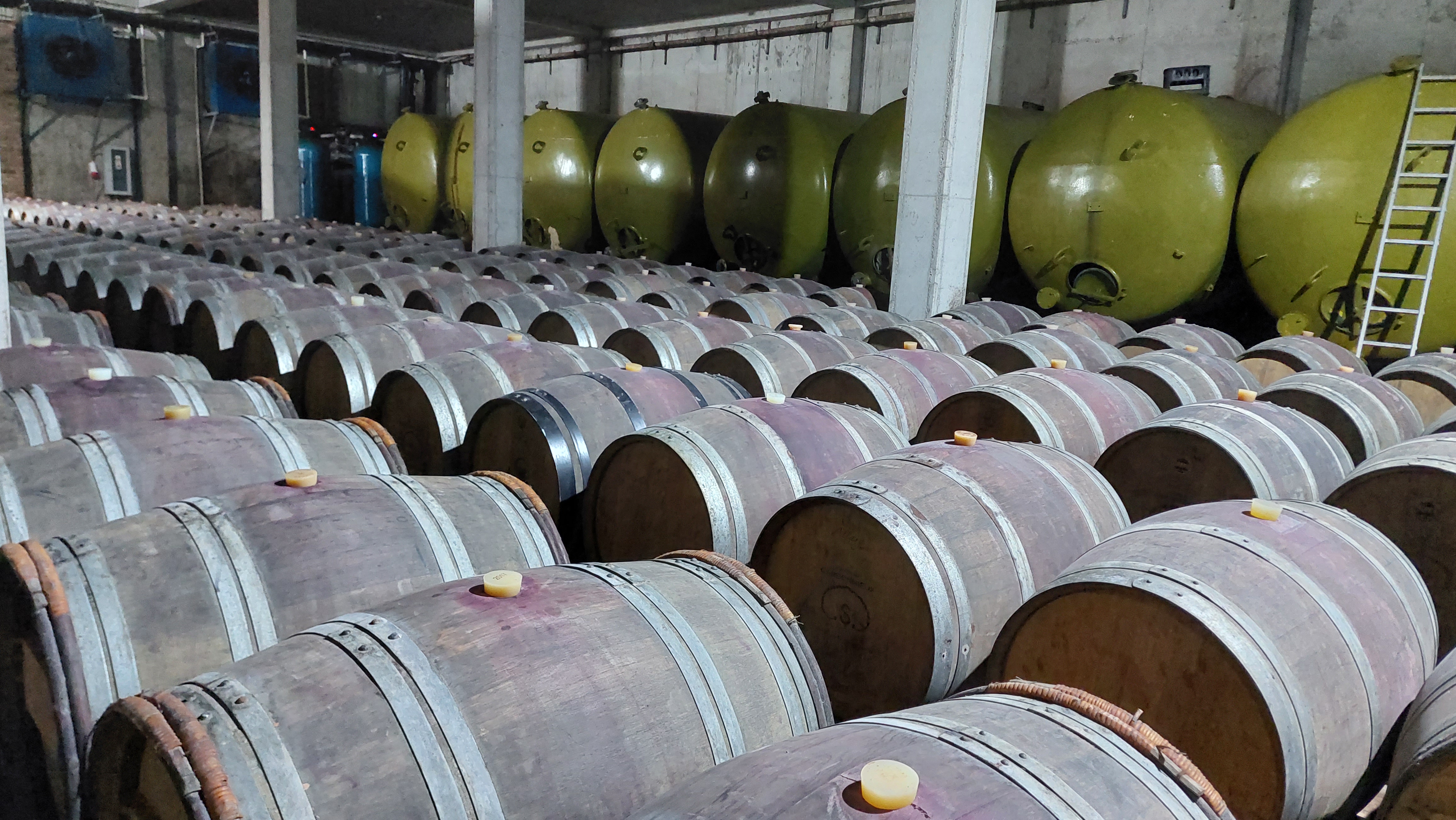 Индивидуальный тур ,, Кахетия-душа Грузии (6/14)