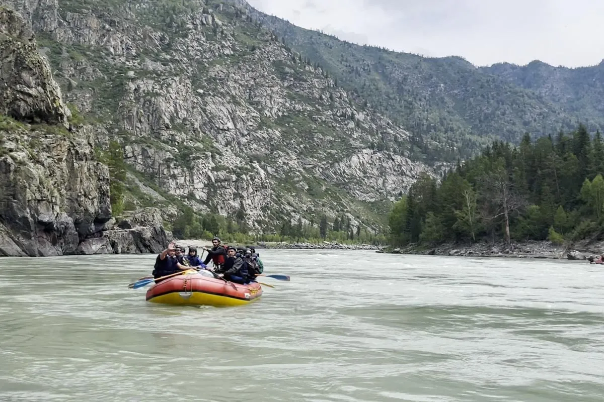 Цветение Маральника на Алтае - 2026 (14/18)