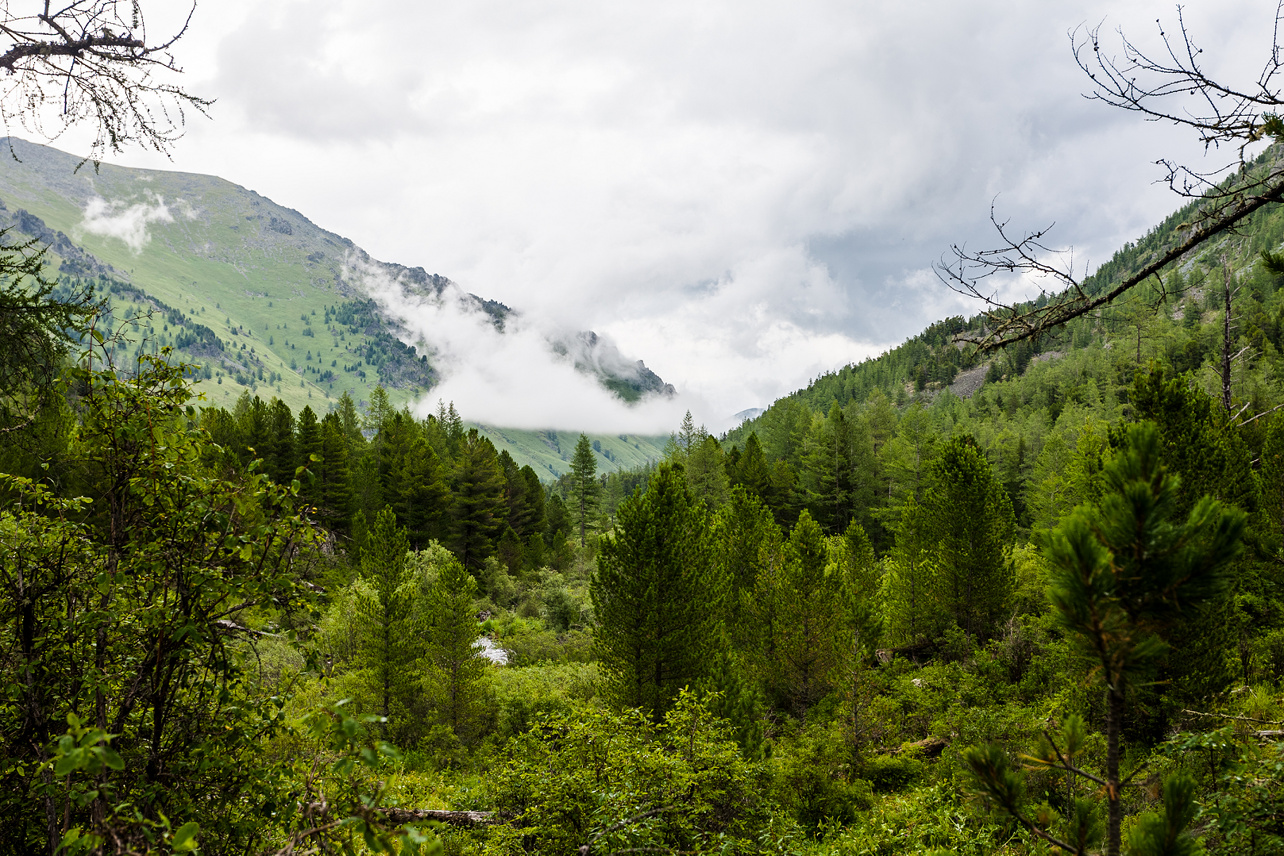 Дыхание Алтая (3/16)