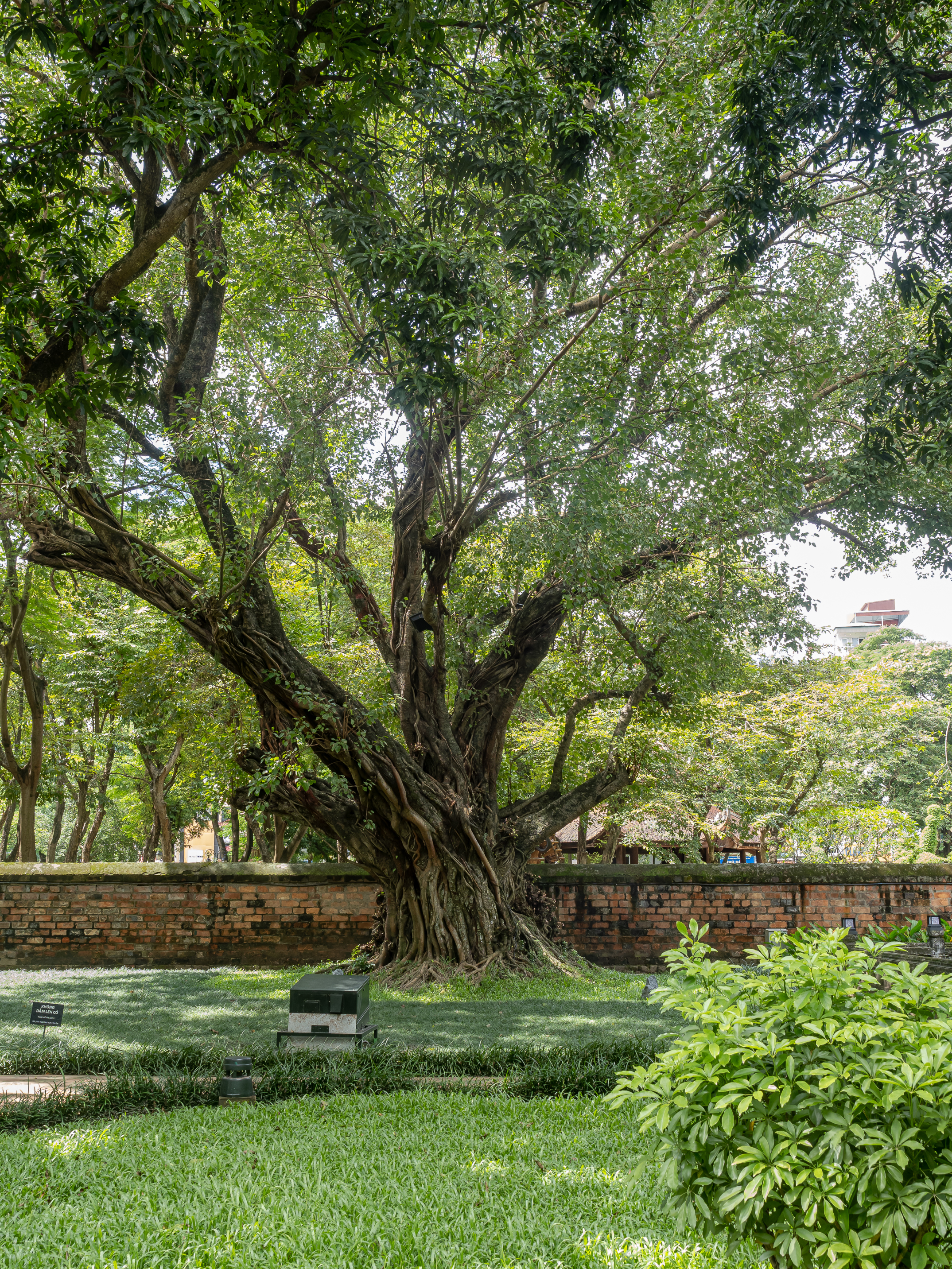 Северный Вьетнам. Путешествие по самобытной стране (44/91)