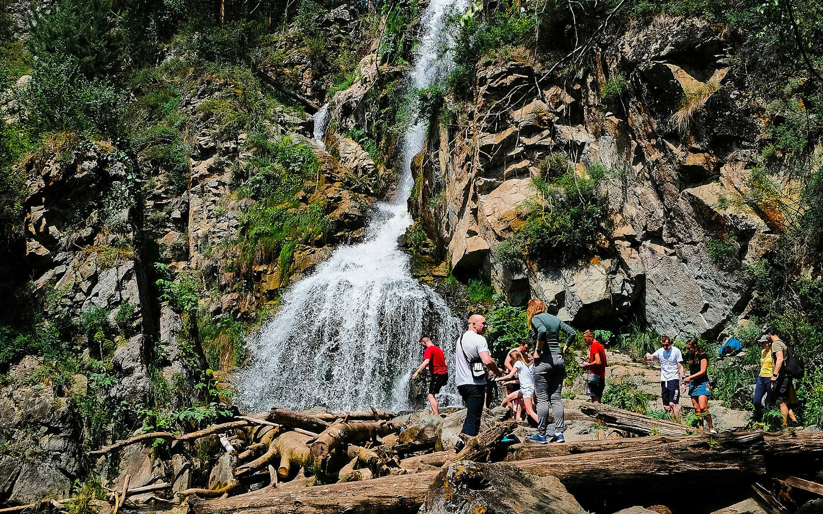 Цветение Маральника на Алтае - 2026 (17/18)