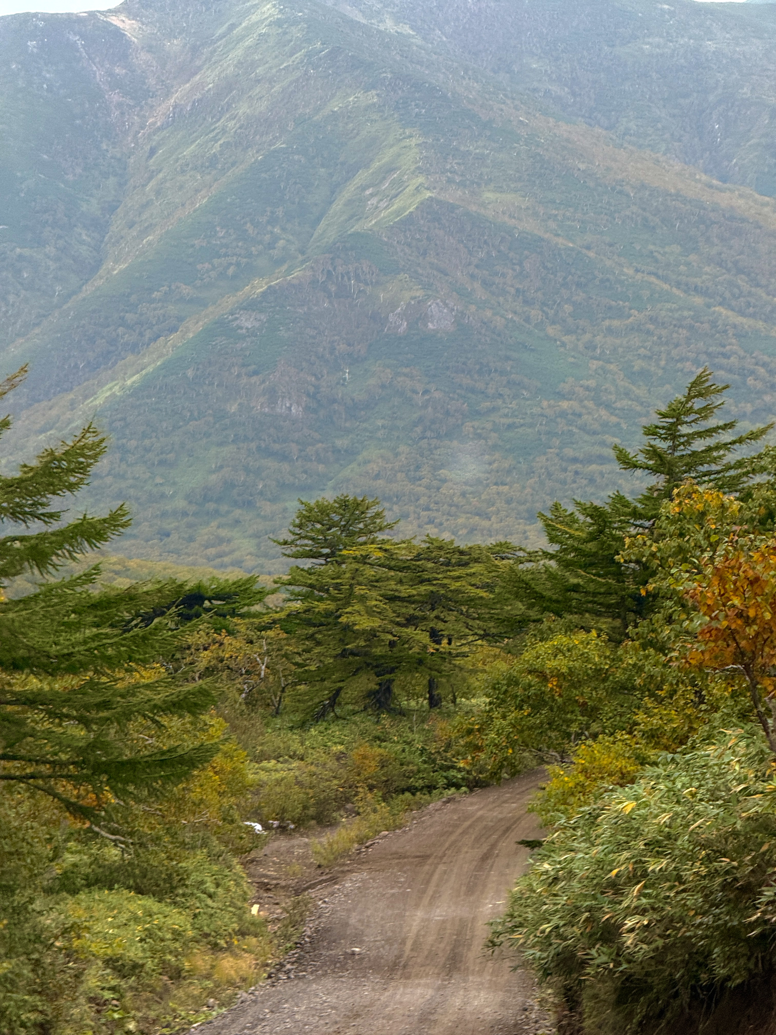 Осенний Итуруп + Сахалин (16/51)