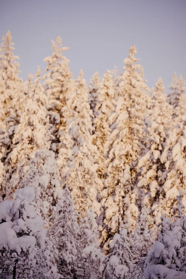 Зимний поход на Вттоваару (6/13)