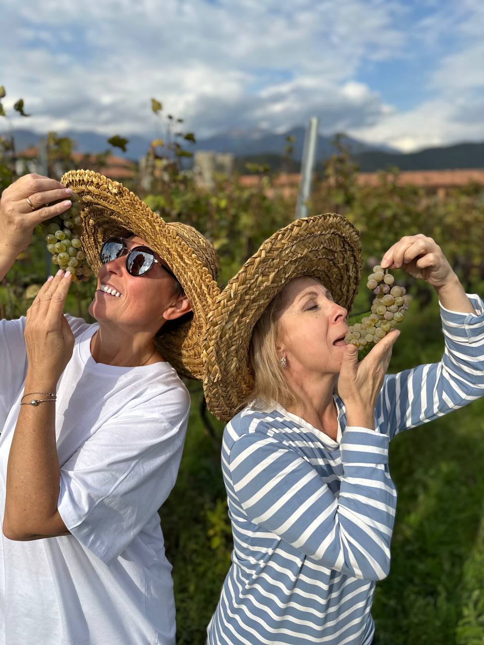 Грузия со вкусом вина: Тбилиси и Кахетия