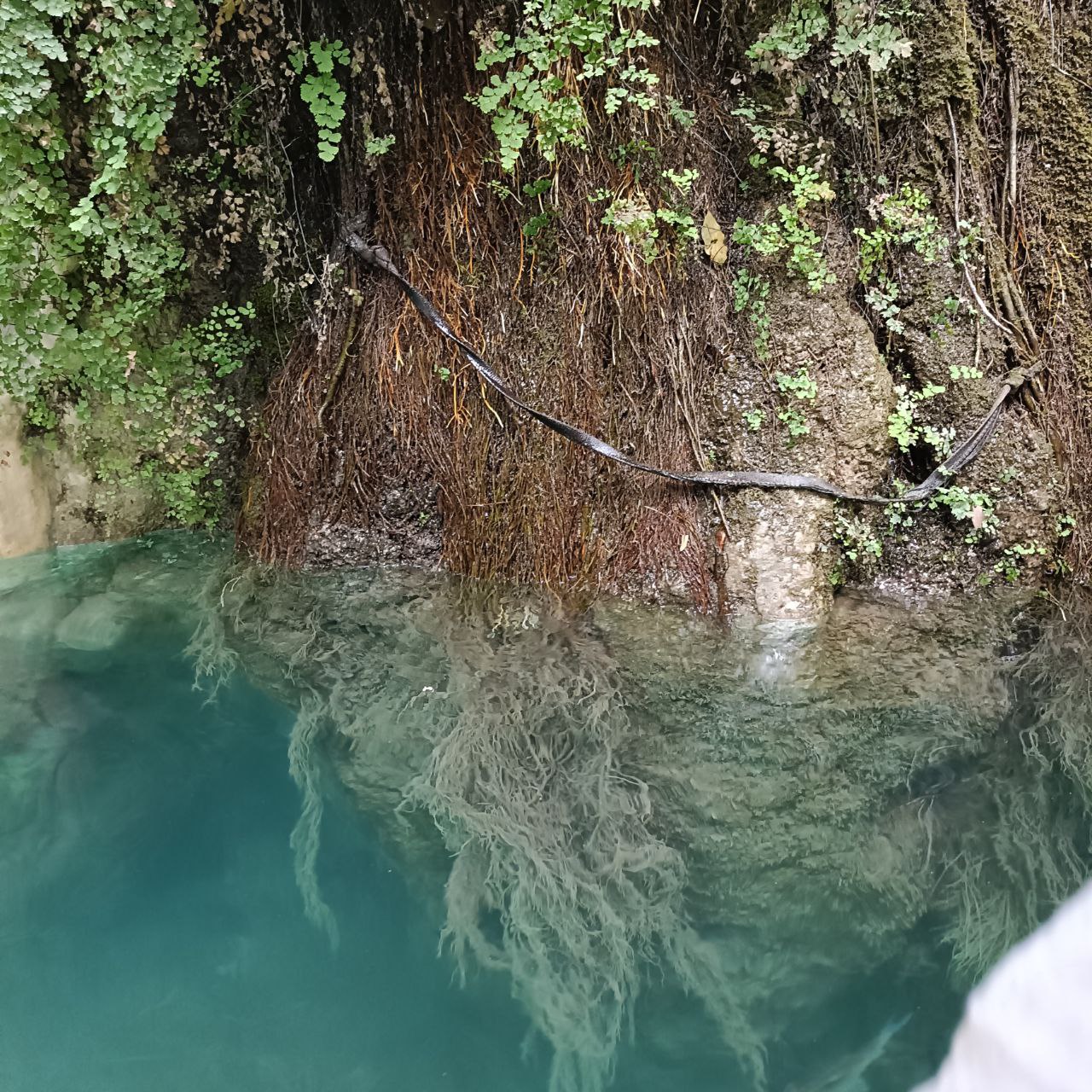 Йога-тур Энергия пяти стихий (31/53)