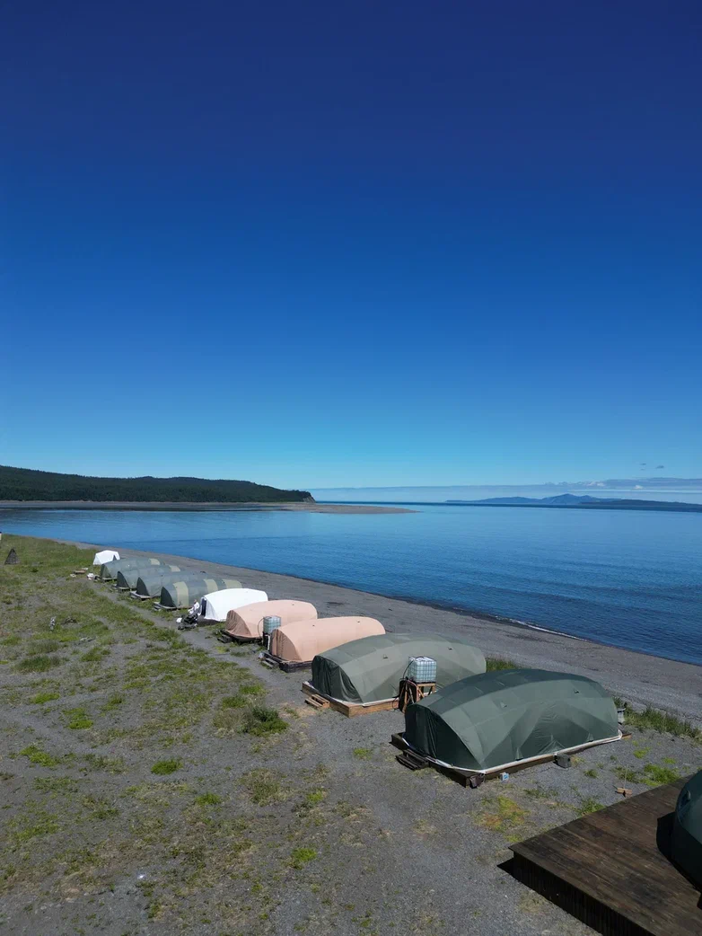 Гренландские киты на Шантарах (21/35)