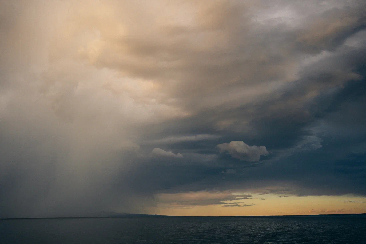 Гренландские киты на Шантарах (12/35)