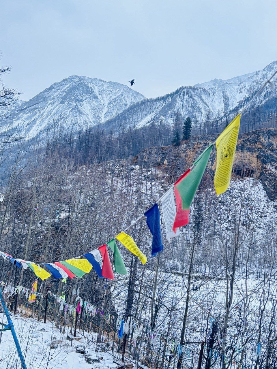 Восхождение на гору Мунку-Сардык - высшую точку Восточной Сибири (9/17)