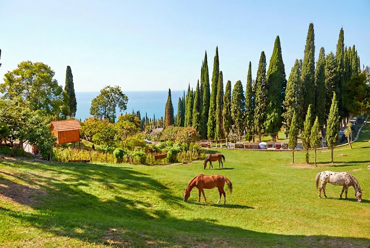 Вся Абхазия за 6 дней (4/52)