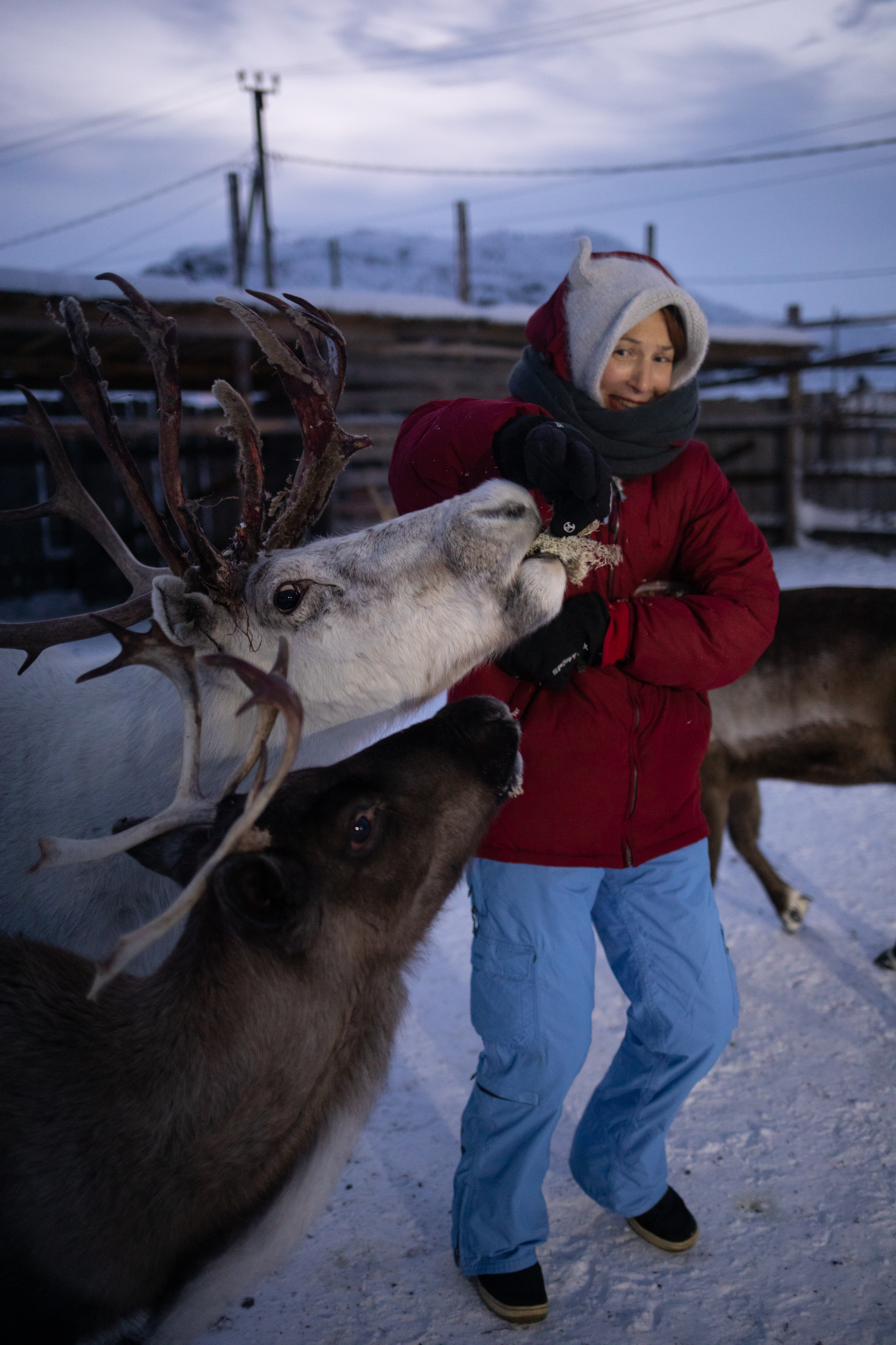 Заключительный день
