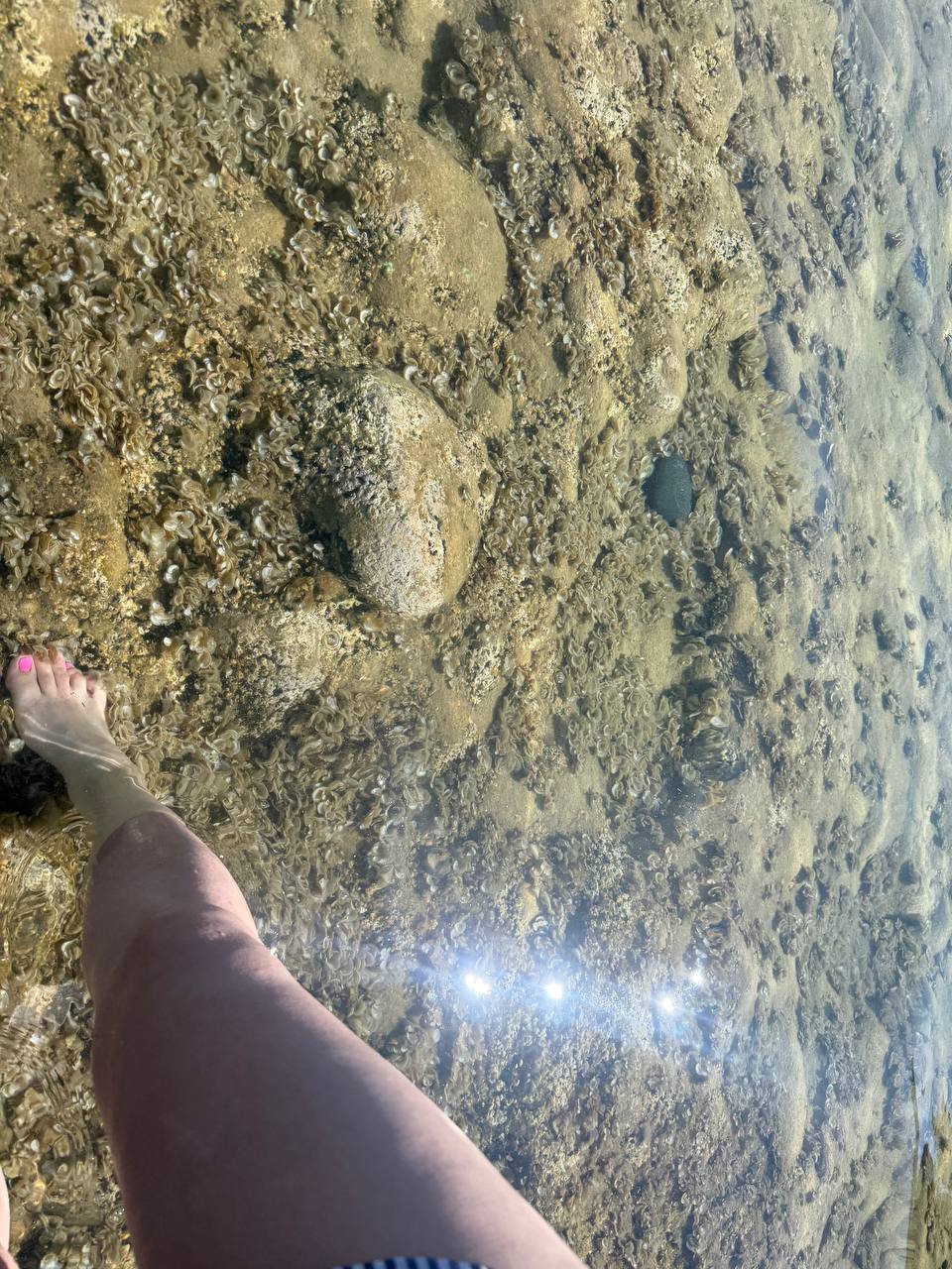 Йога-тур Энергия пяти стихий (32/53)