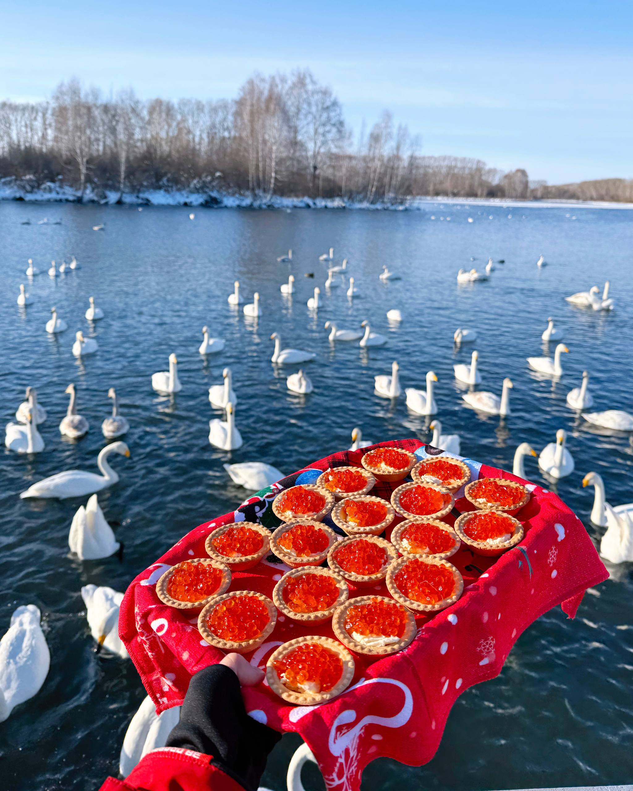 Алтай - Зимняя сказка: Мини Группа, Этно-Фото Тур, Лучшие места, Комфорт (6/38)