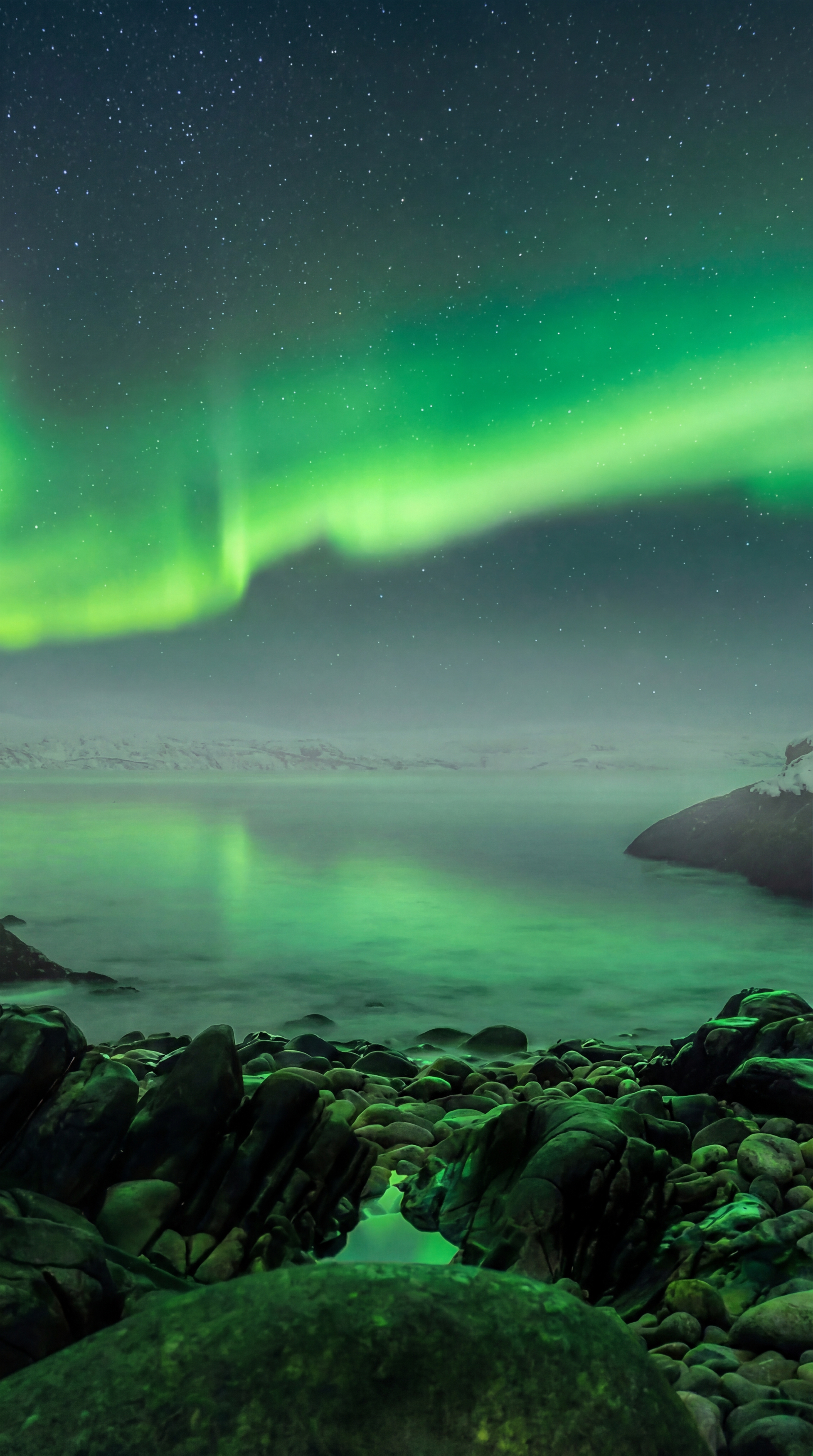 Фото экспедиция по Кольскому п-ову (+Рыбачий+Средний+ киты) (16/33)