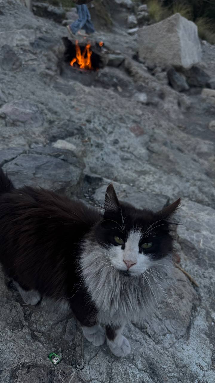 Йога-тур Энергия пяти стихий (28/53)