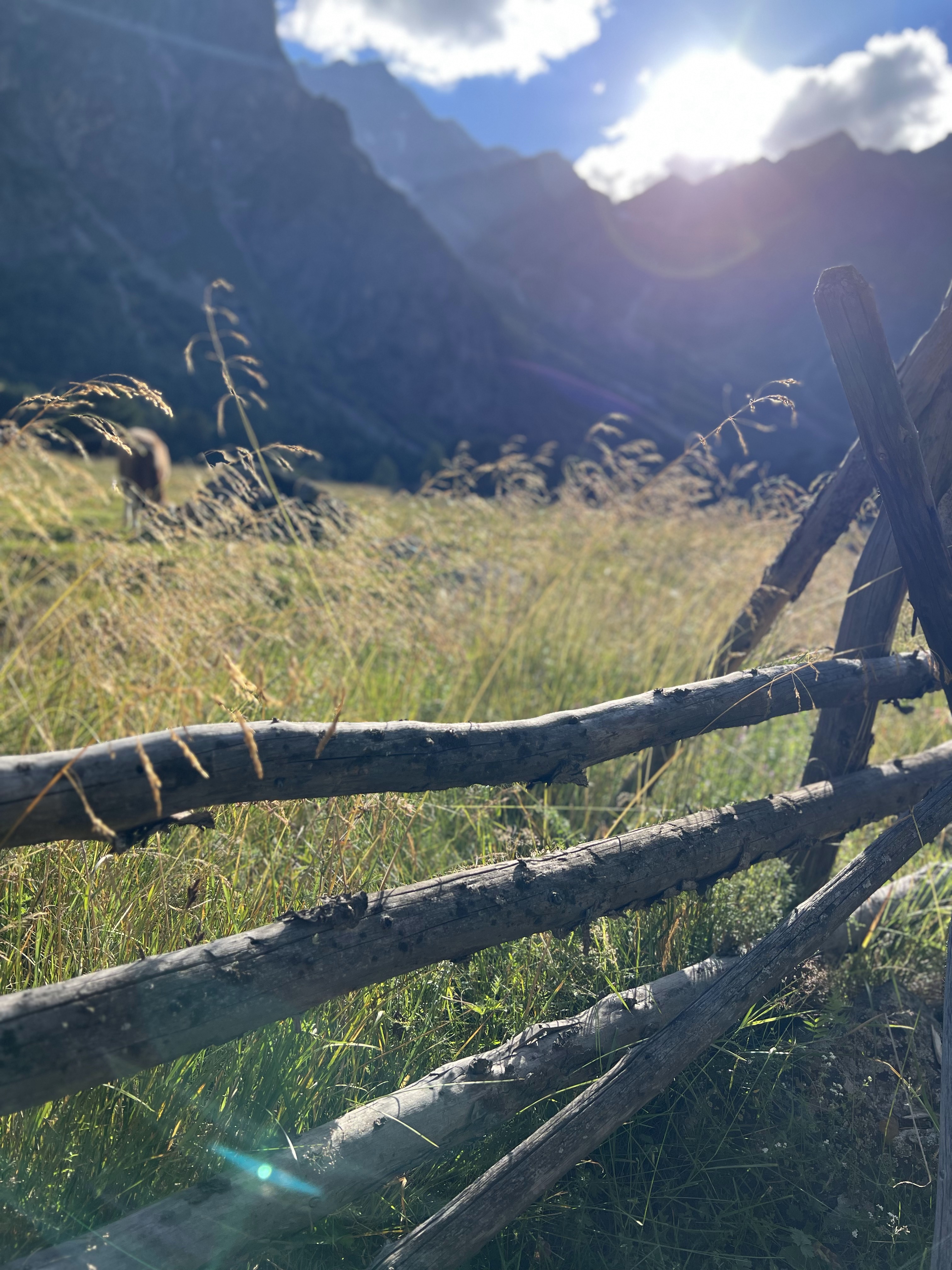 Тайны Эльбруса: В гости к великанам (17/17)