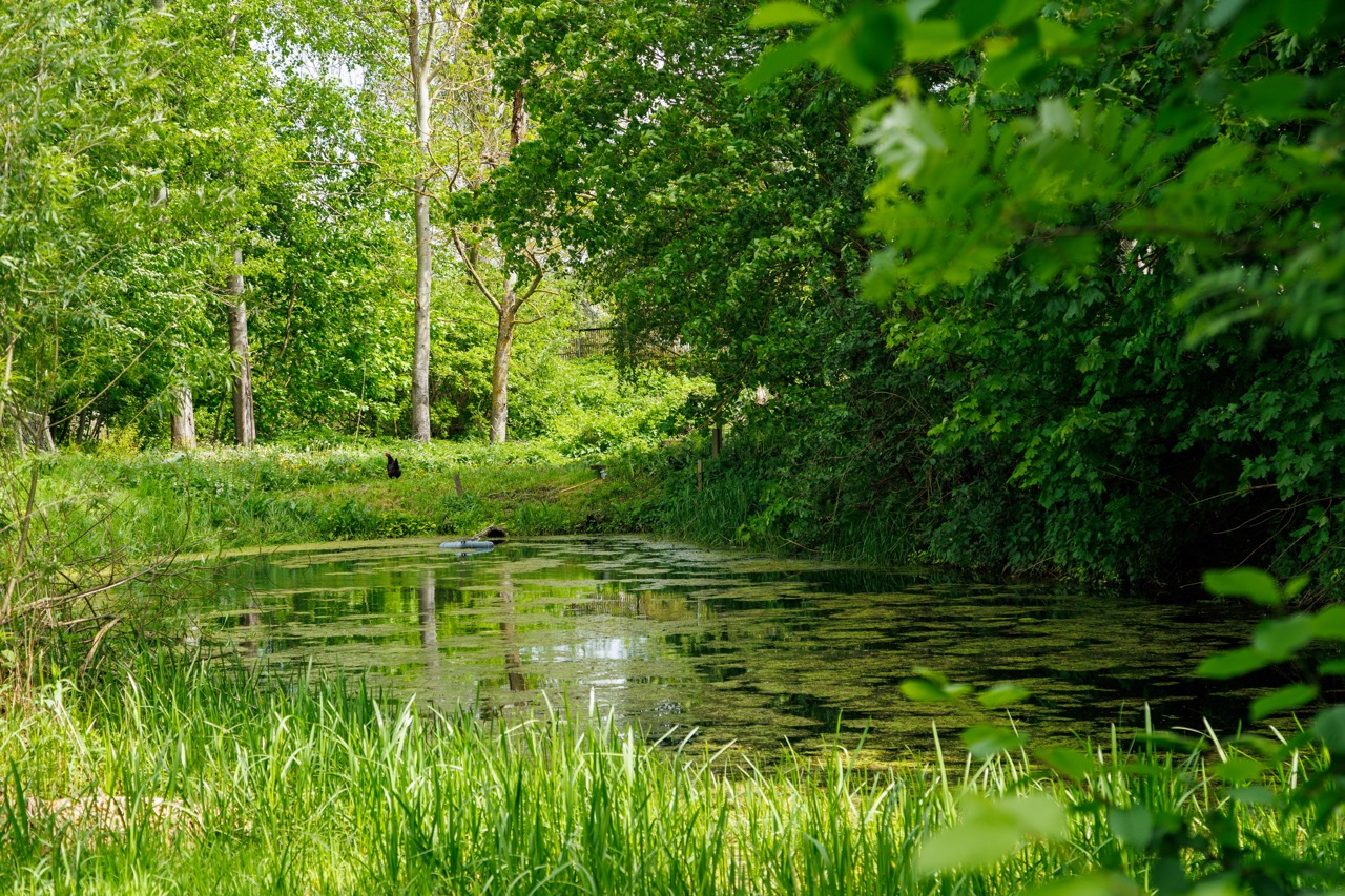 Велопрогулка вдоль границы c Польшей и Черняховск (5/10)