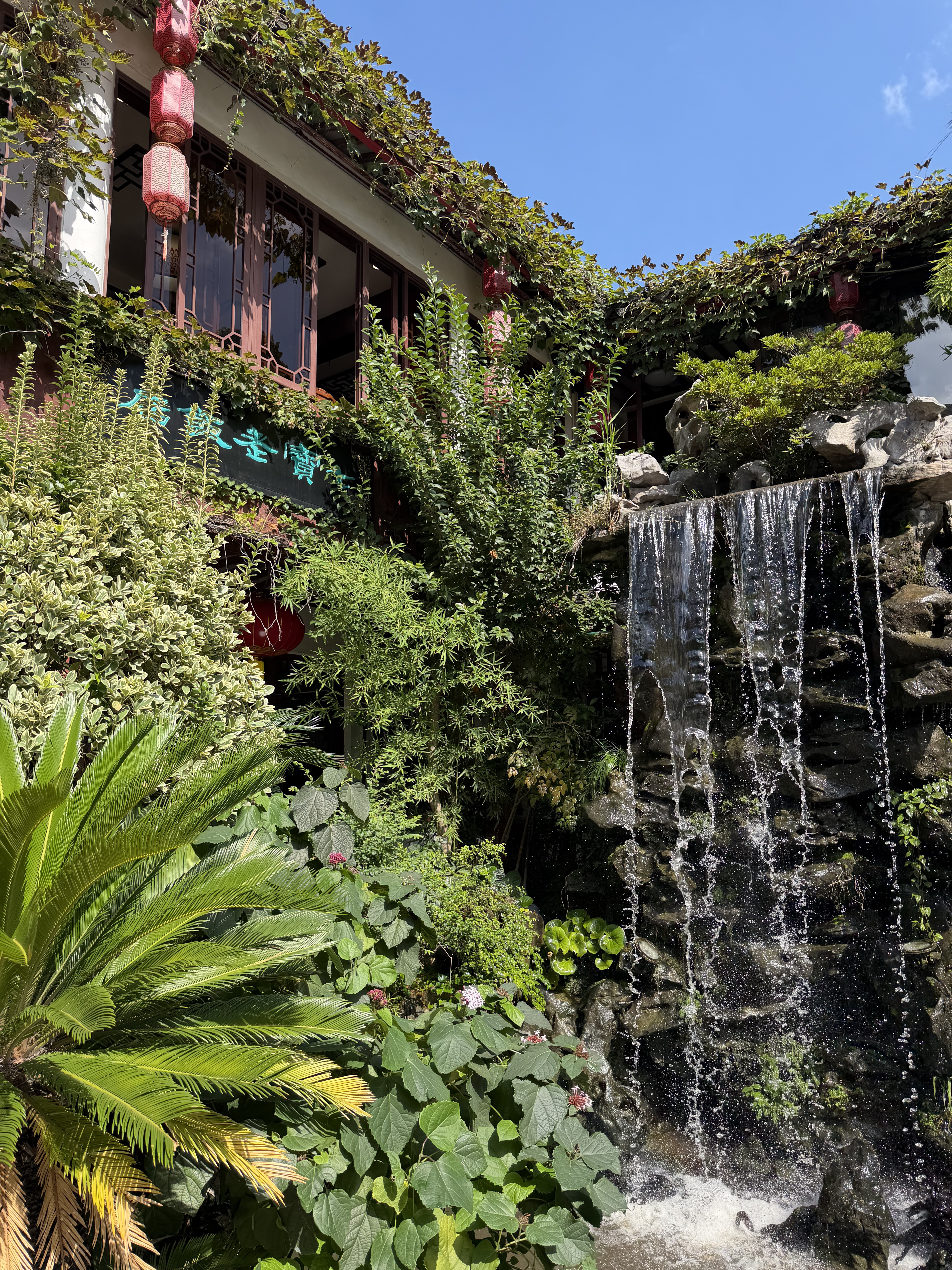 Старый Чибао, чай и огни мегаполиса