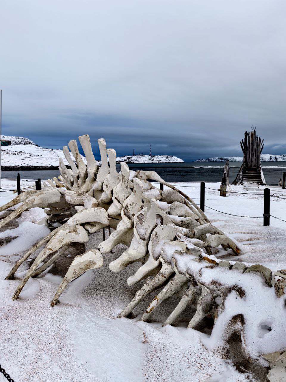 Однодневный тур в Териберку: сокровище Русского Севера (8/9)