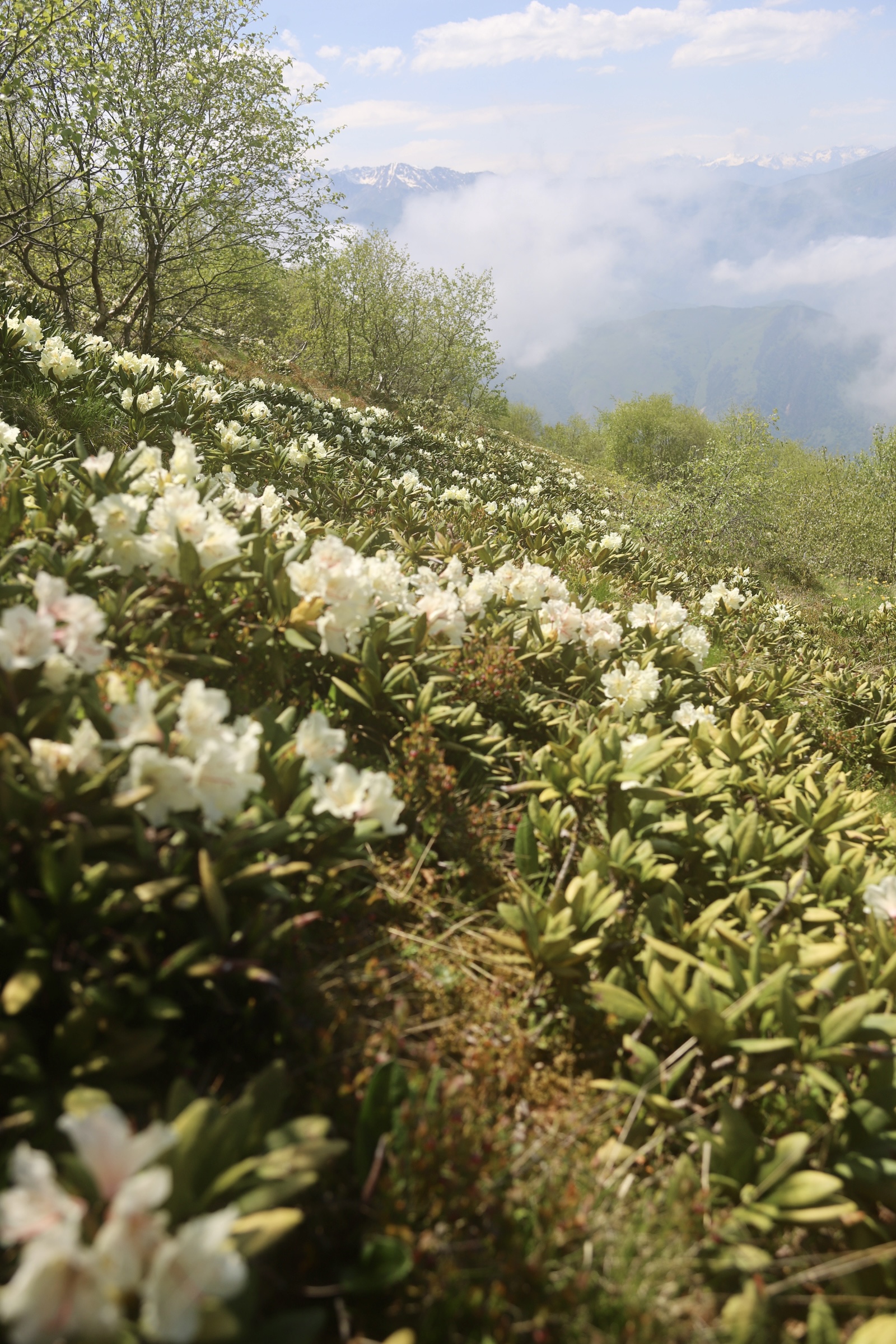 Спасетия. Фотодевичник в Северной Осетии (6/30)
